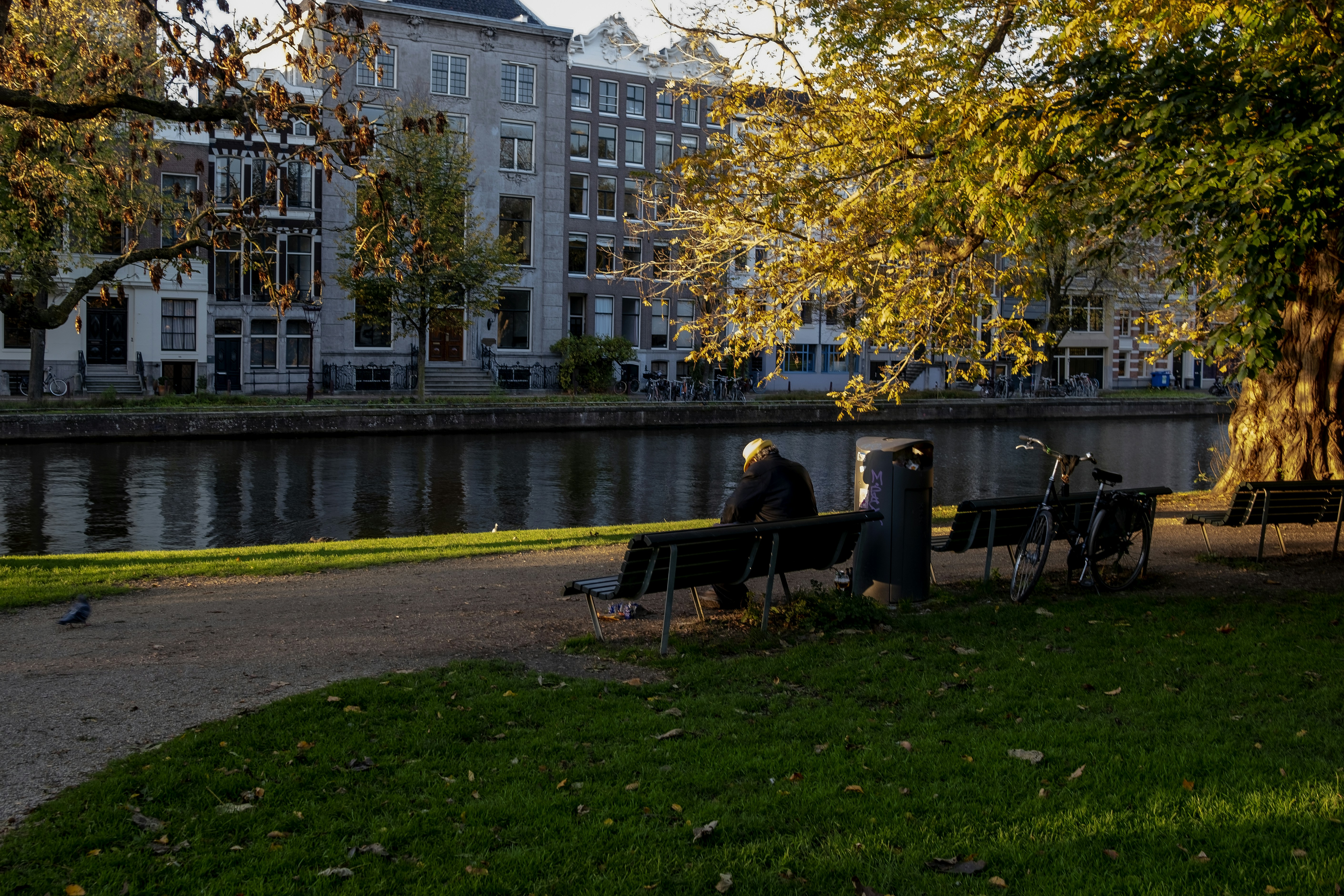 Custom webshop Purmerend