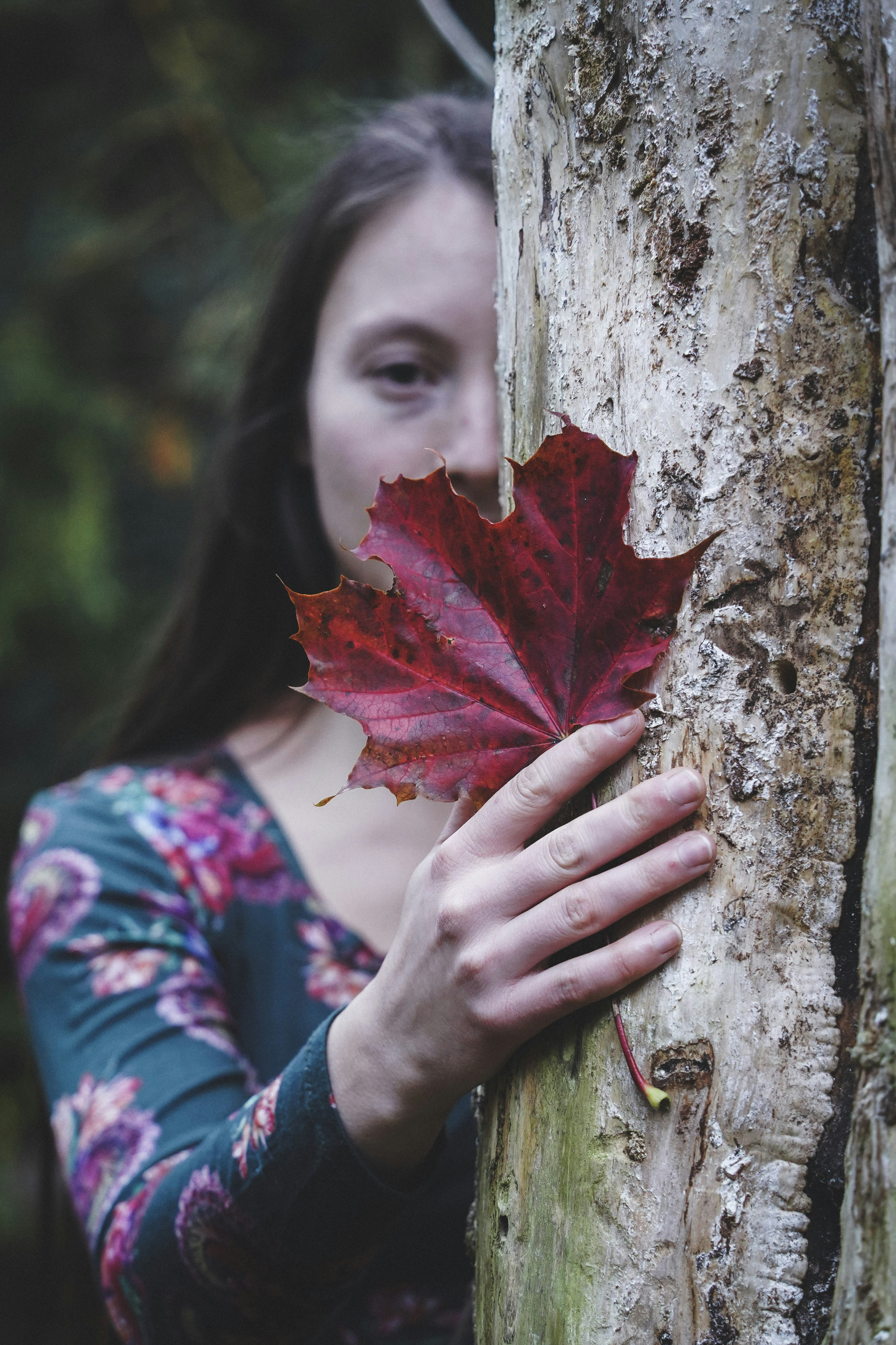 Photo by elintabitha