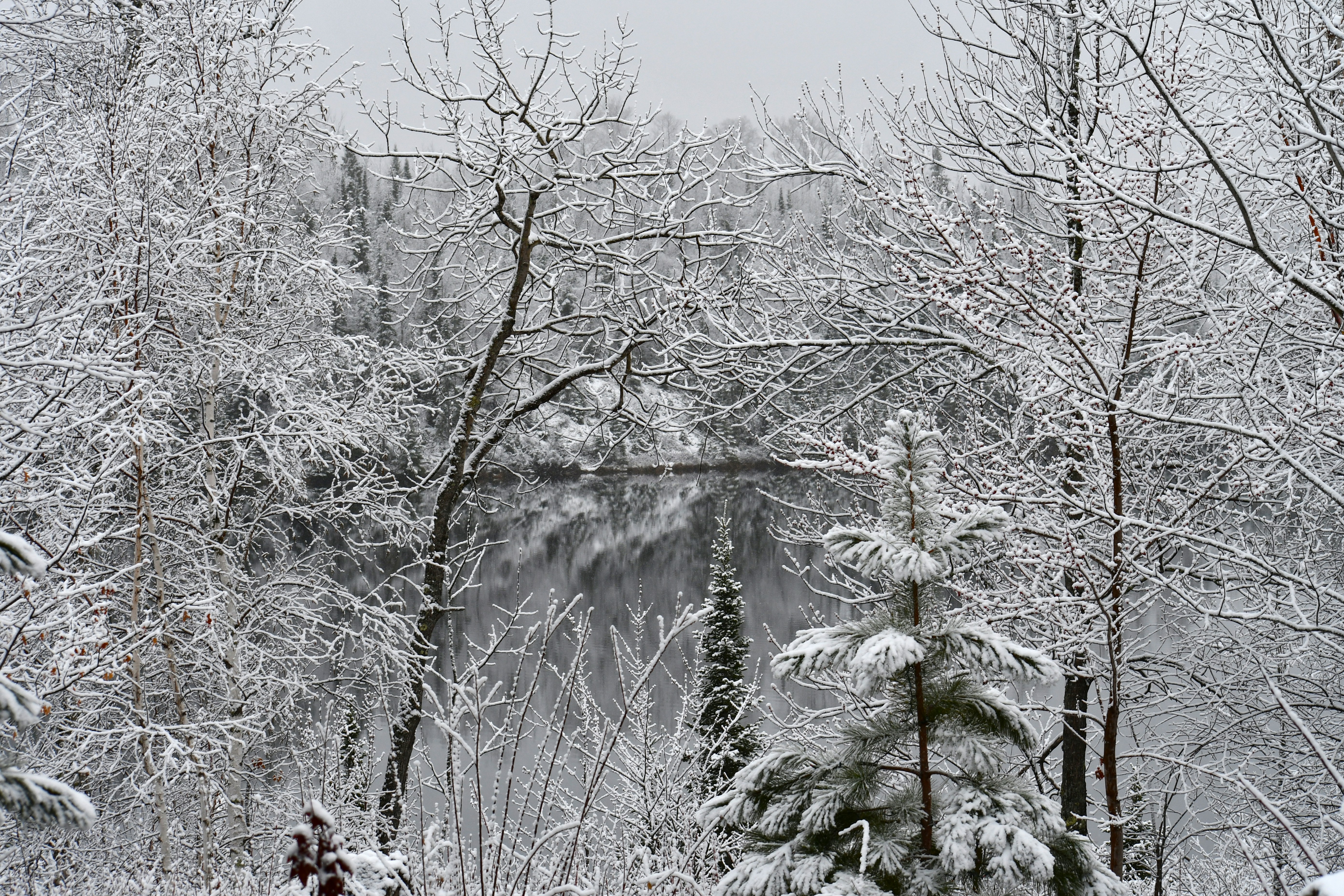person in white jacket standing on snow covered ground during daytime