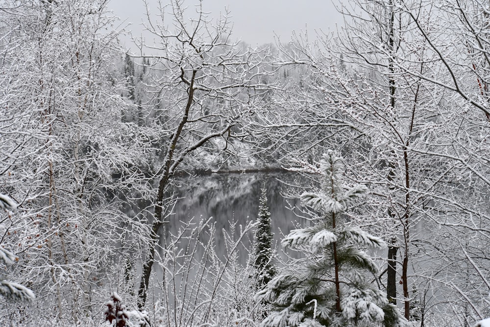 person in white jacket standing on snow covered ground during daytime