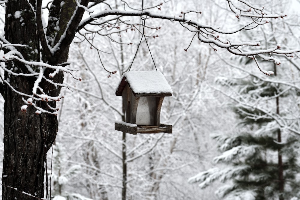 brown wooden birdhouse on tree branch during daytime