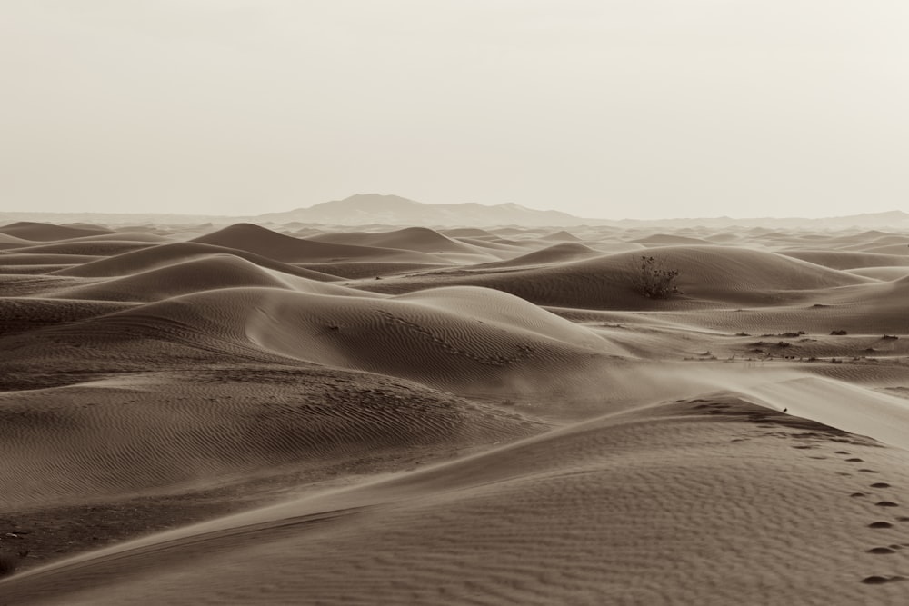 brown sand under white sky during daytime