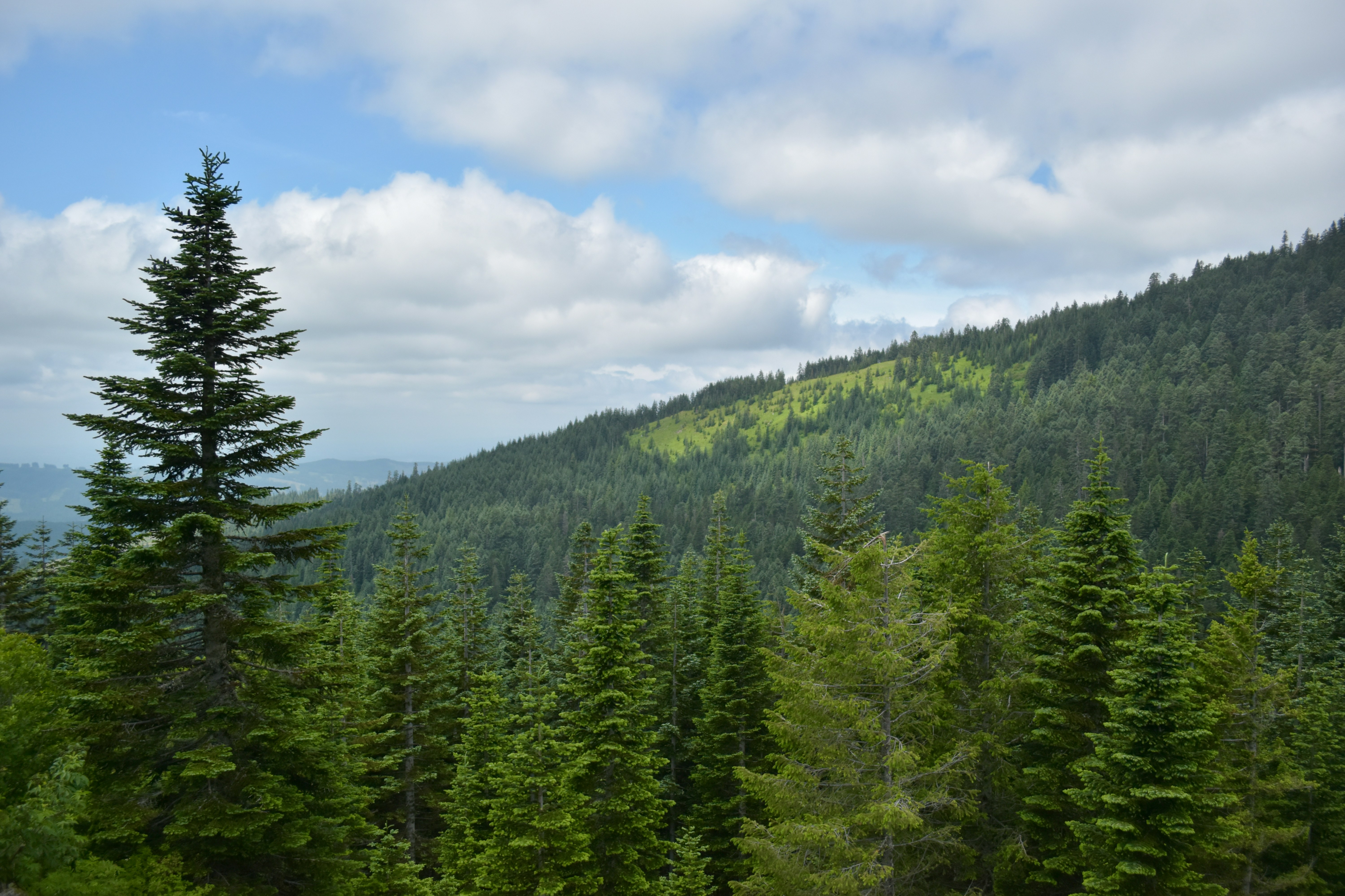 silver star mountain