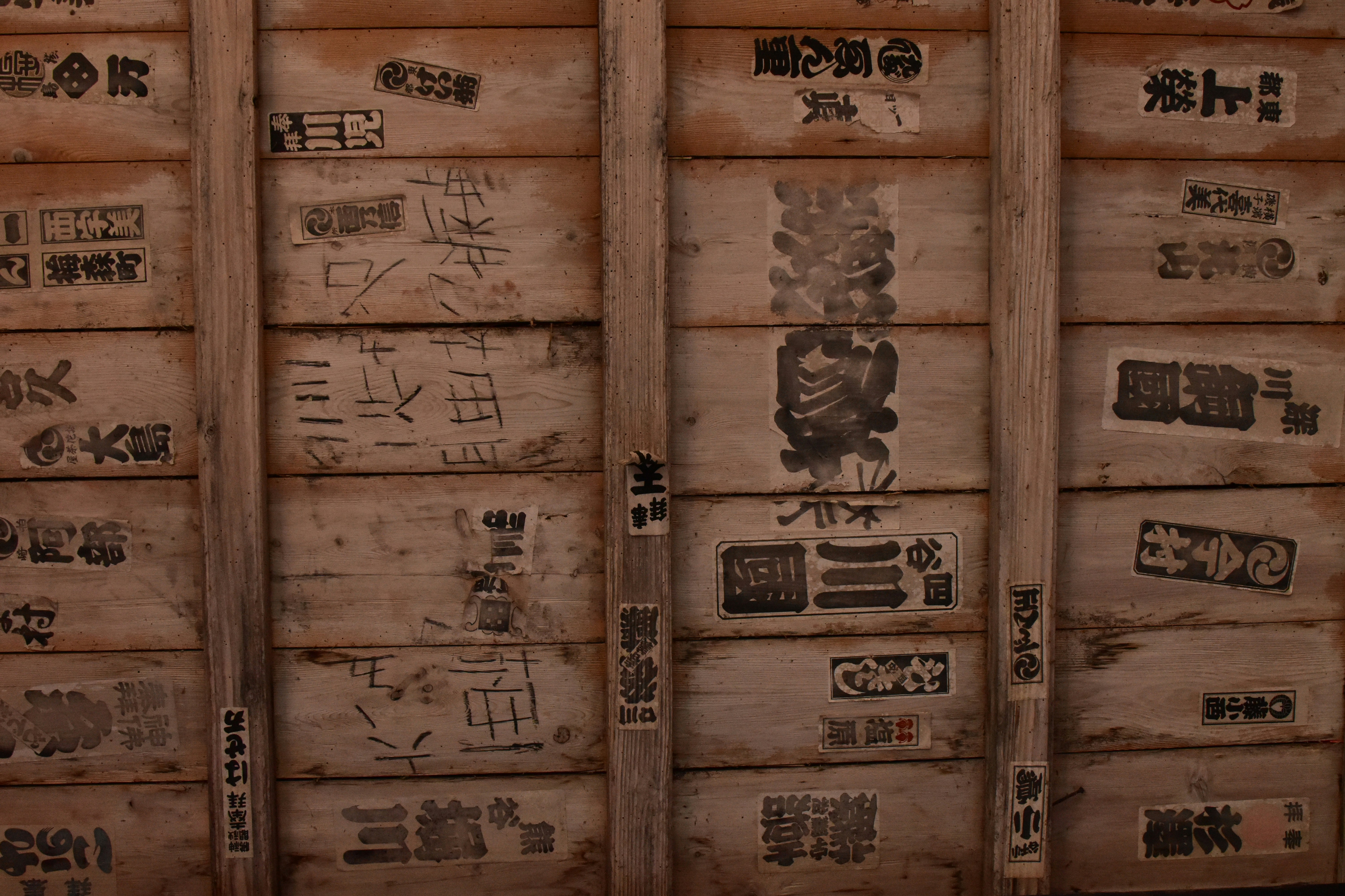 Photo by architraeveeee