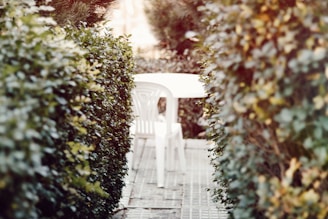 A white plastic chair and table are placed outdoors, surrounded by dense green hedges. The foliage creates a narrow passage leading to the seating area, with sunlight filtering through the leaves, casting a warm and tranquil ambiance.