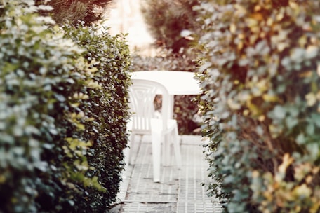 A white plastic chair and table are placed outdoors, surrounded by dense green hedges. The foliage creates a narrow passage leading to the seating area, with sunlight filtering through the leaves, casting a warm and tranquil ambiance.