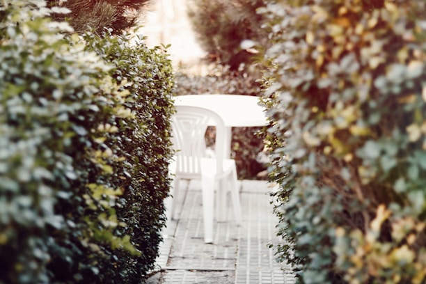 A white plastic chair and table are placed outdoors, surrounded by dense green hedges. The foliage creates a narrow passage leading to the seating area, with sunlight filtering through the leaves, casting a warm and tranquil ambiance.