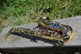 A golden saxophone placed on a wooden bench with grass in the background. The instrument's metallic surface reflects sunlight, and its intricate keys and structure are visible.
