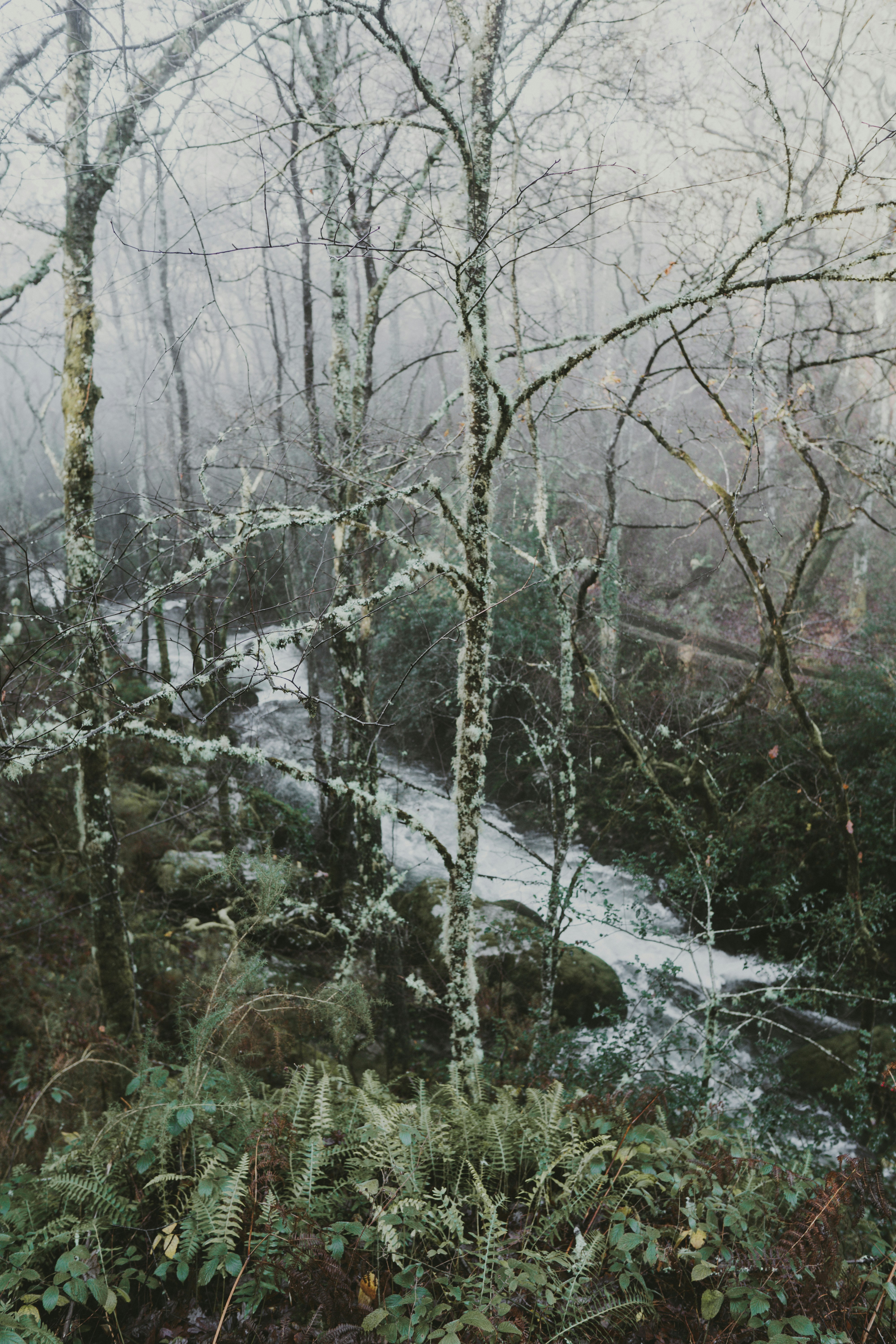 Photo by landedition