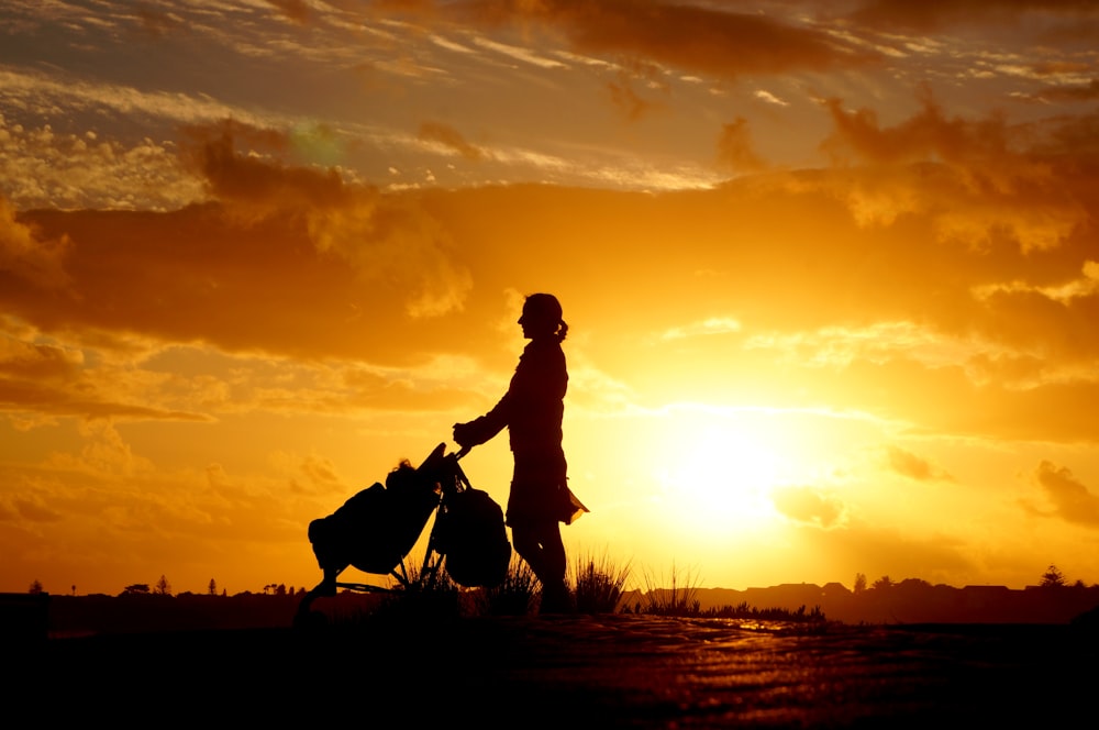 silhouette of man riding horse during sunset