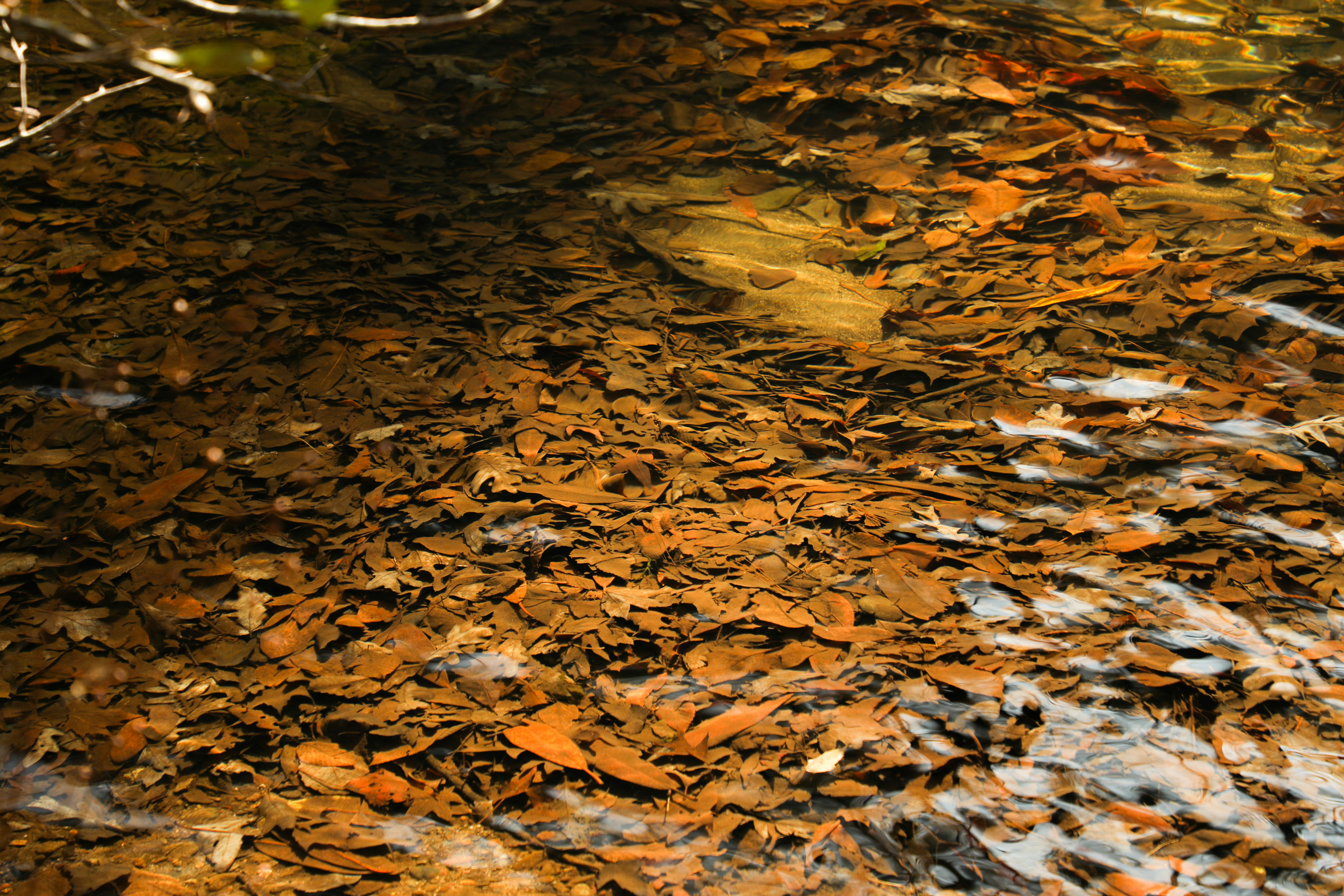 Photo by michaelbweidner