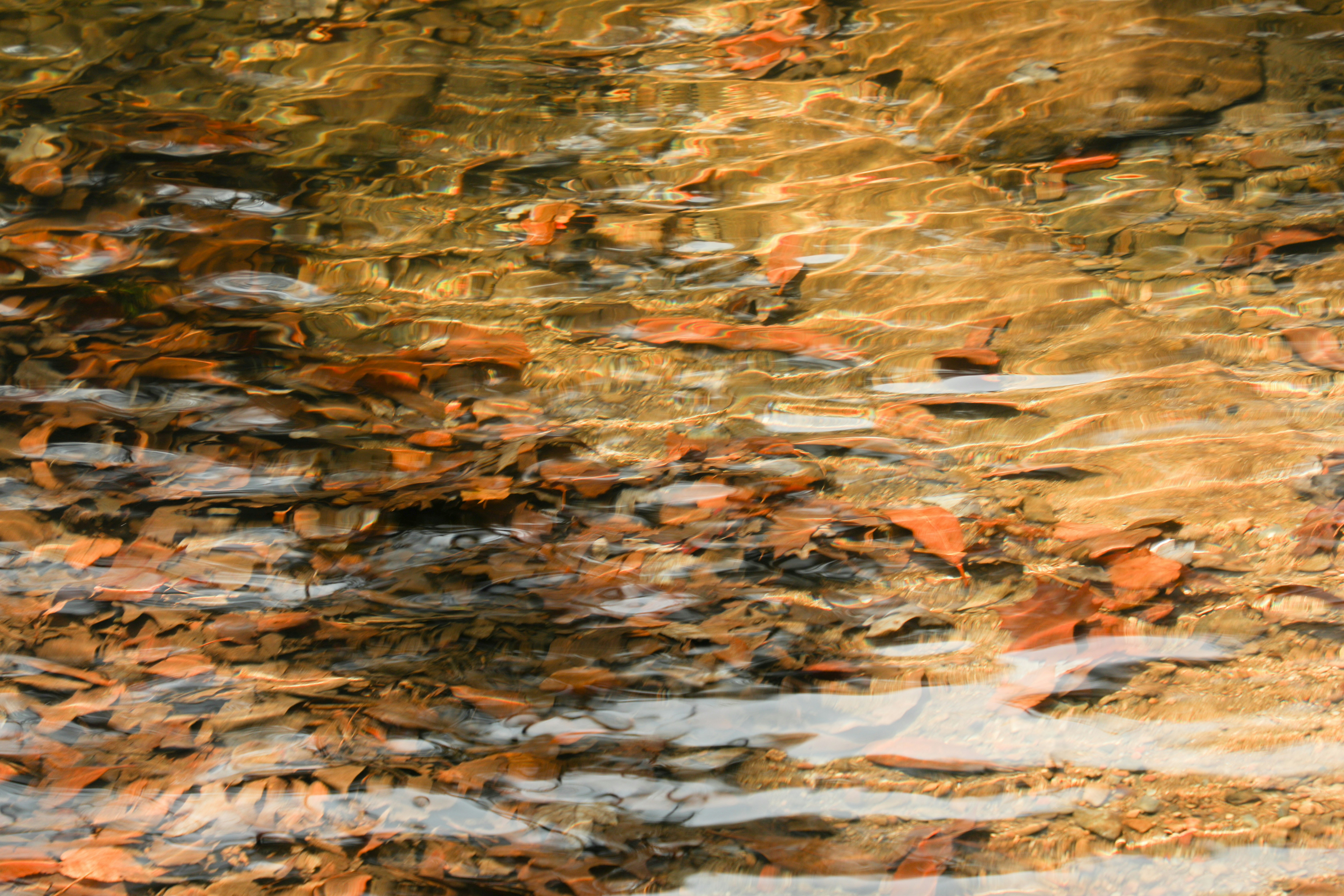 Photo by michaelbweidner