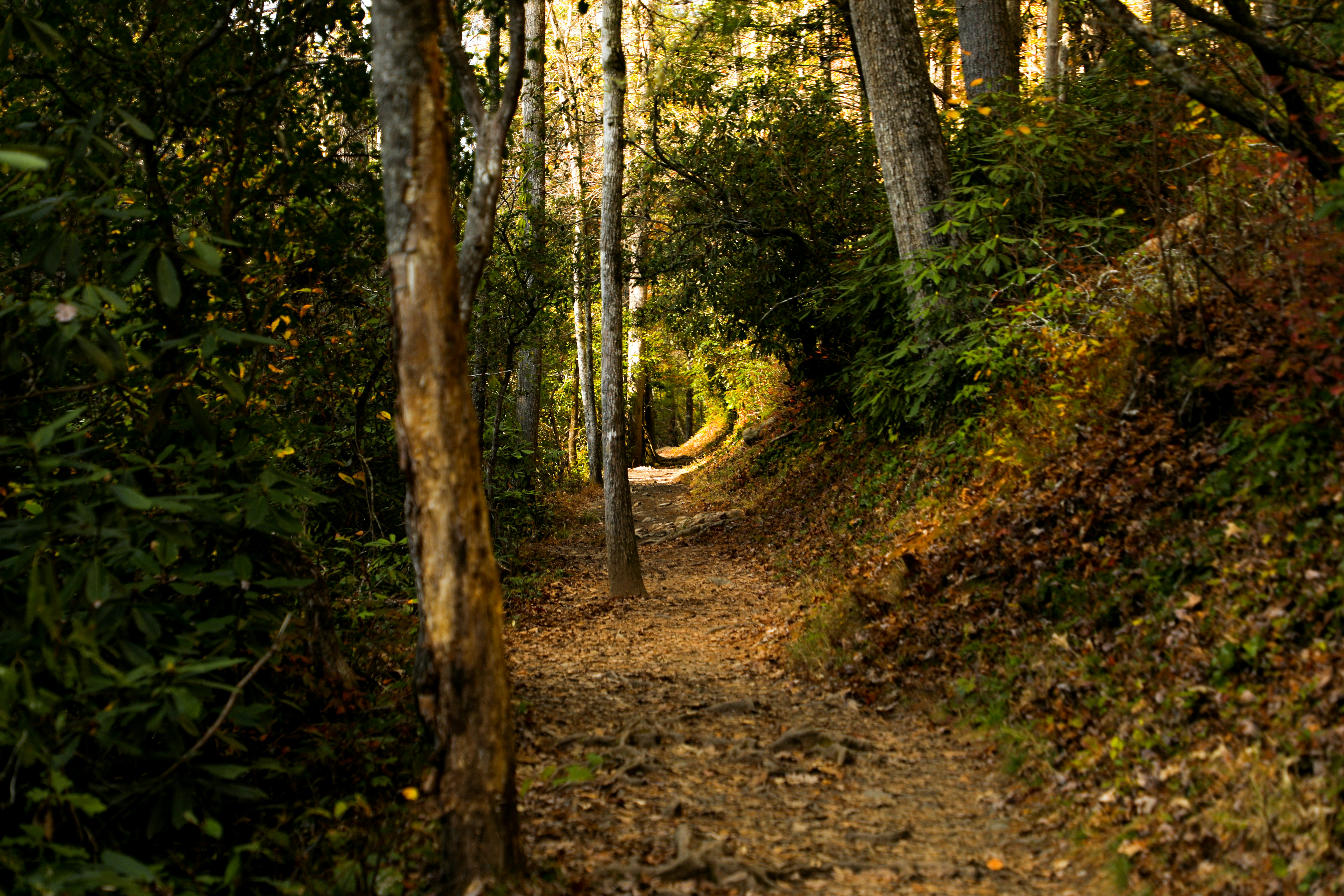 Photo by michaelbweidner