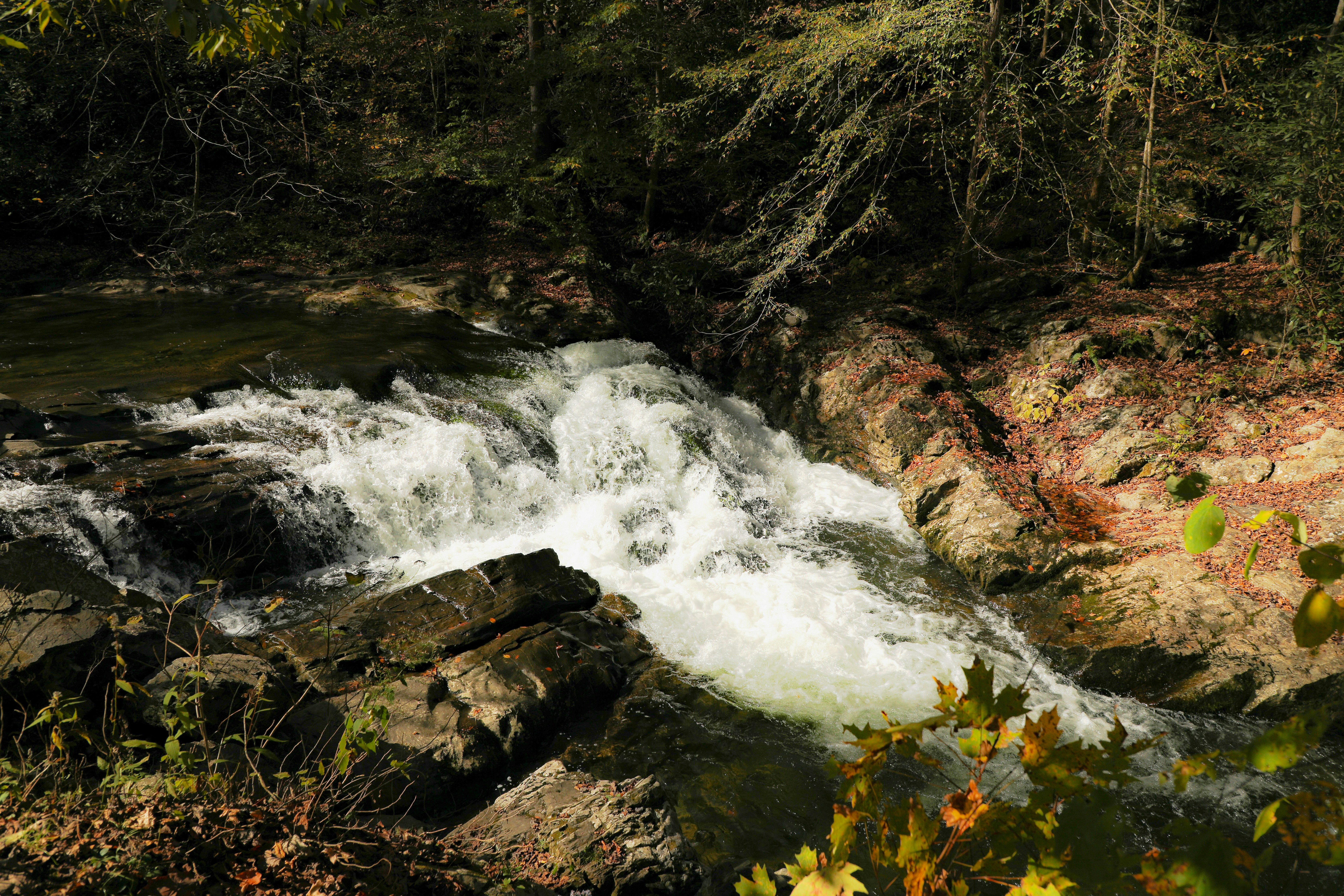 Photo by michaelbweidner