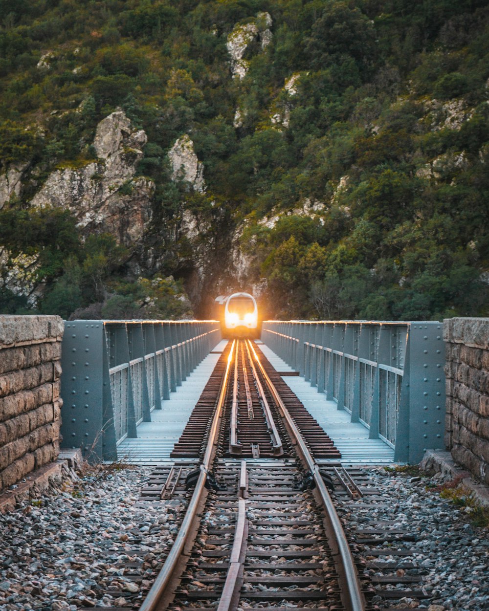 train rail in the middle of the forest