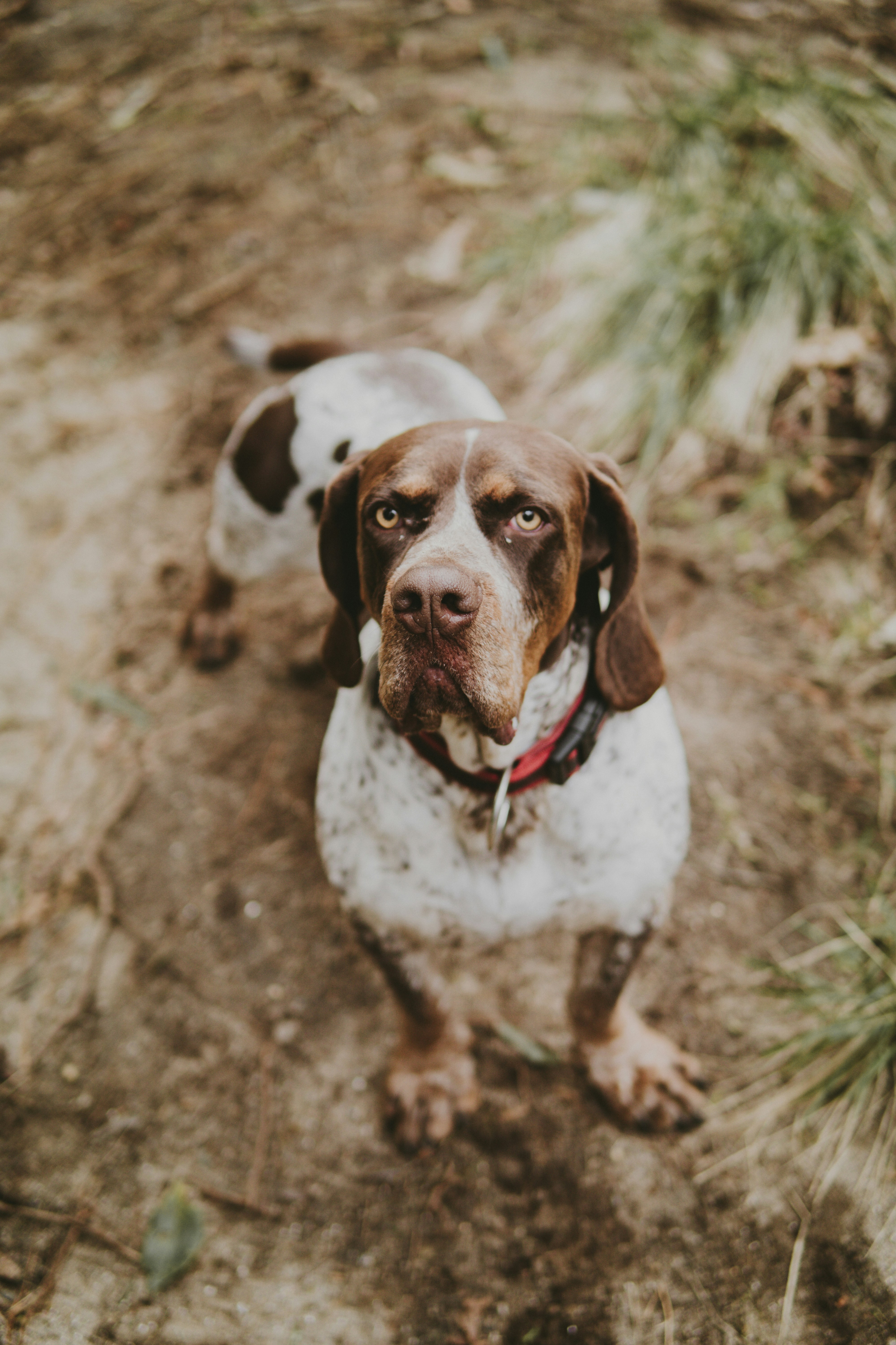 Photo by landedition