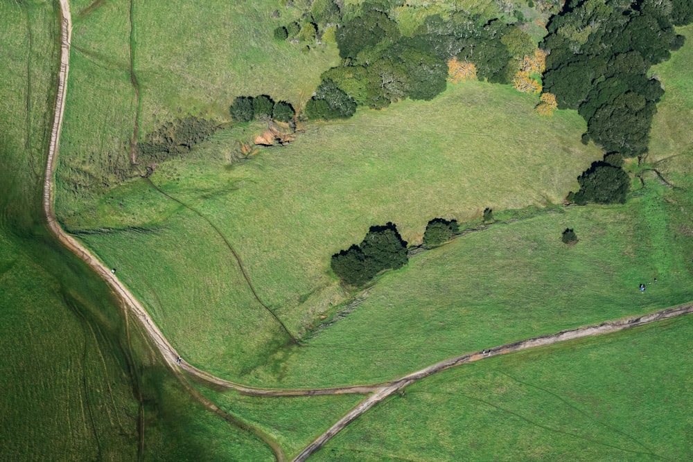 aerial view of green grass field