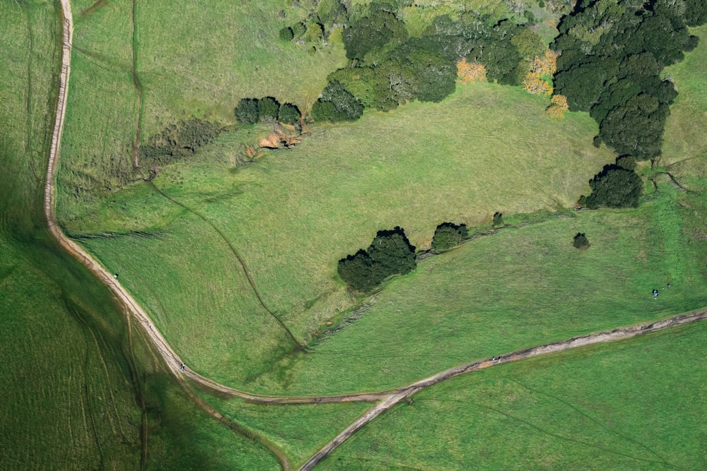 Luftaufnahme des grünen Grasfeldes