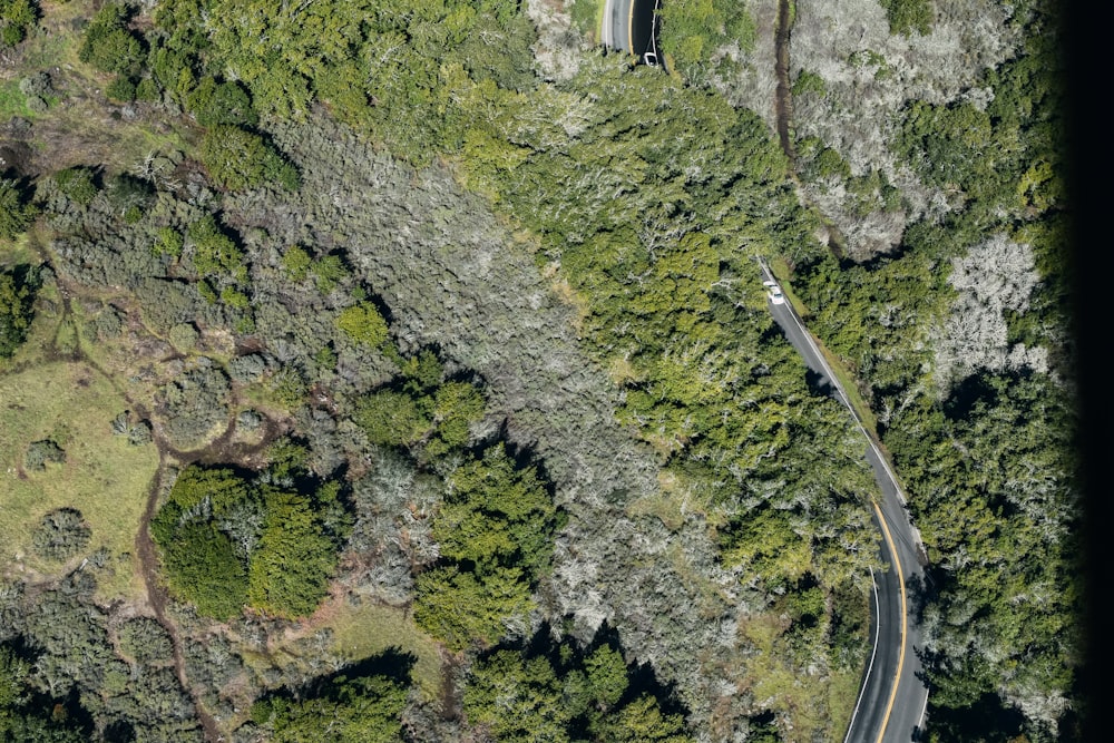 Route en béton gris entre une montagne couverte de mousse verte