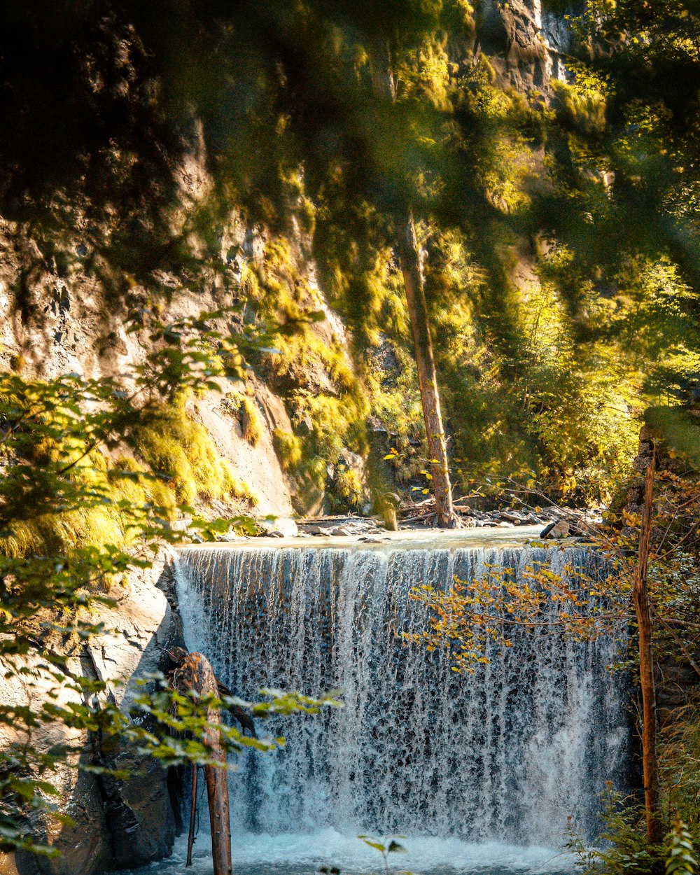 waterfalls in forest during daytime