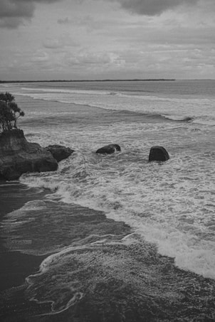 A black and white photograph of a rocky shoreline with waves crashing against the rocks. Trees are visible in the background on the left side of the image. The sky is covered with clouds, giving the scene a moody and dramatic feel.