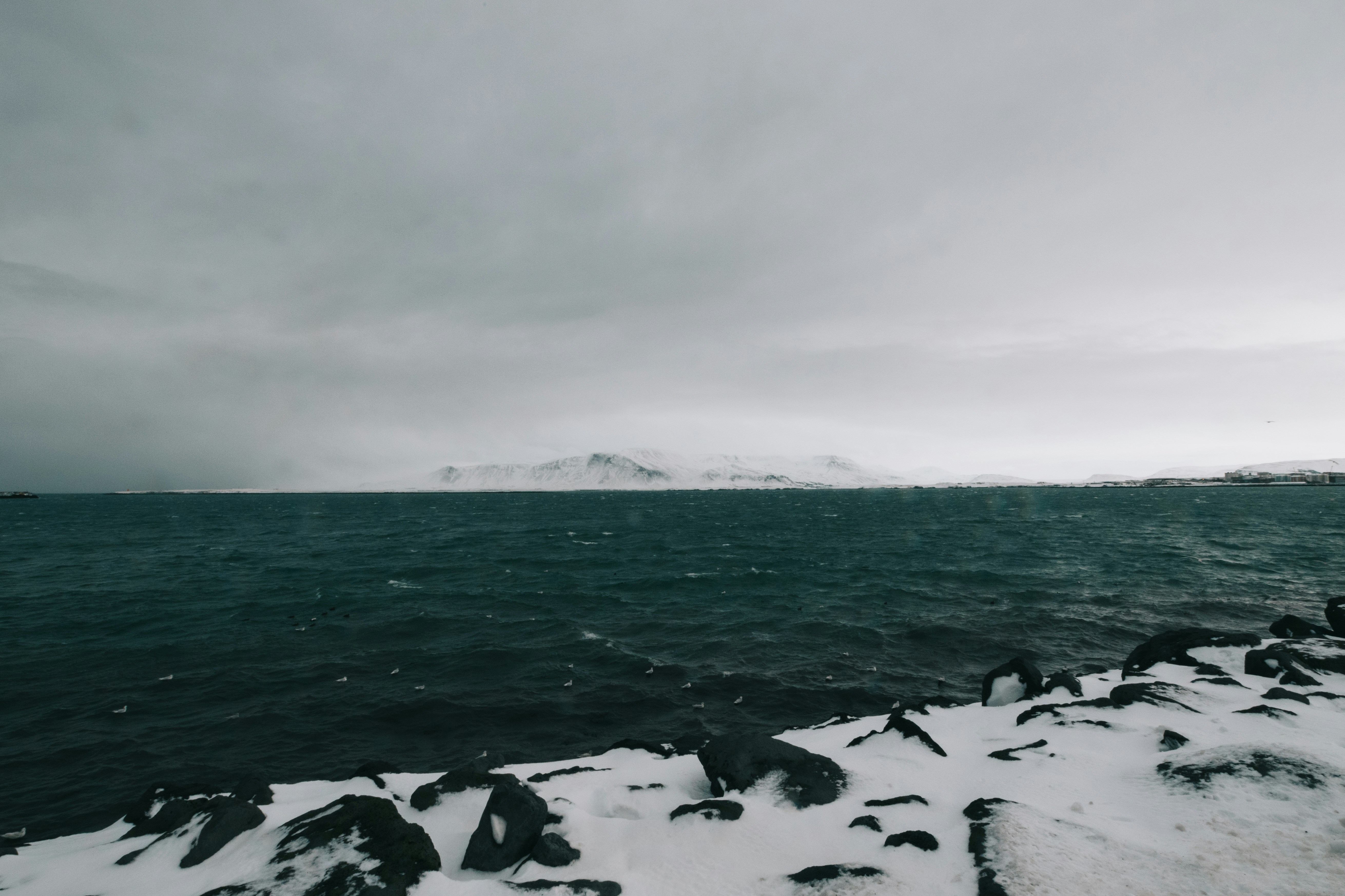 Photo by nicolasjleclercq