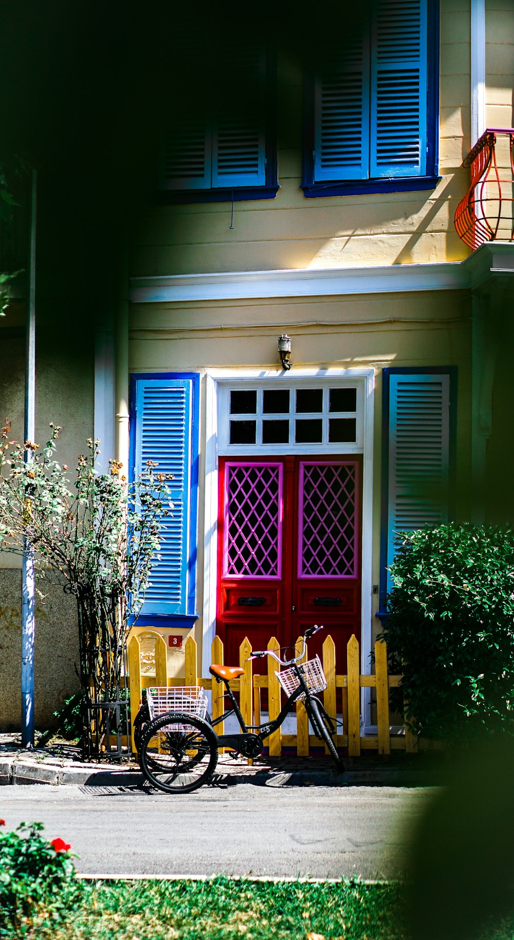 blue wooden window with green plants