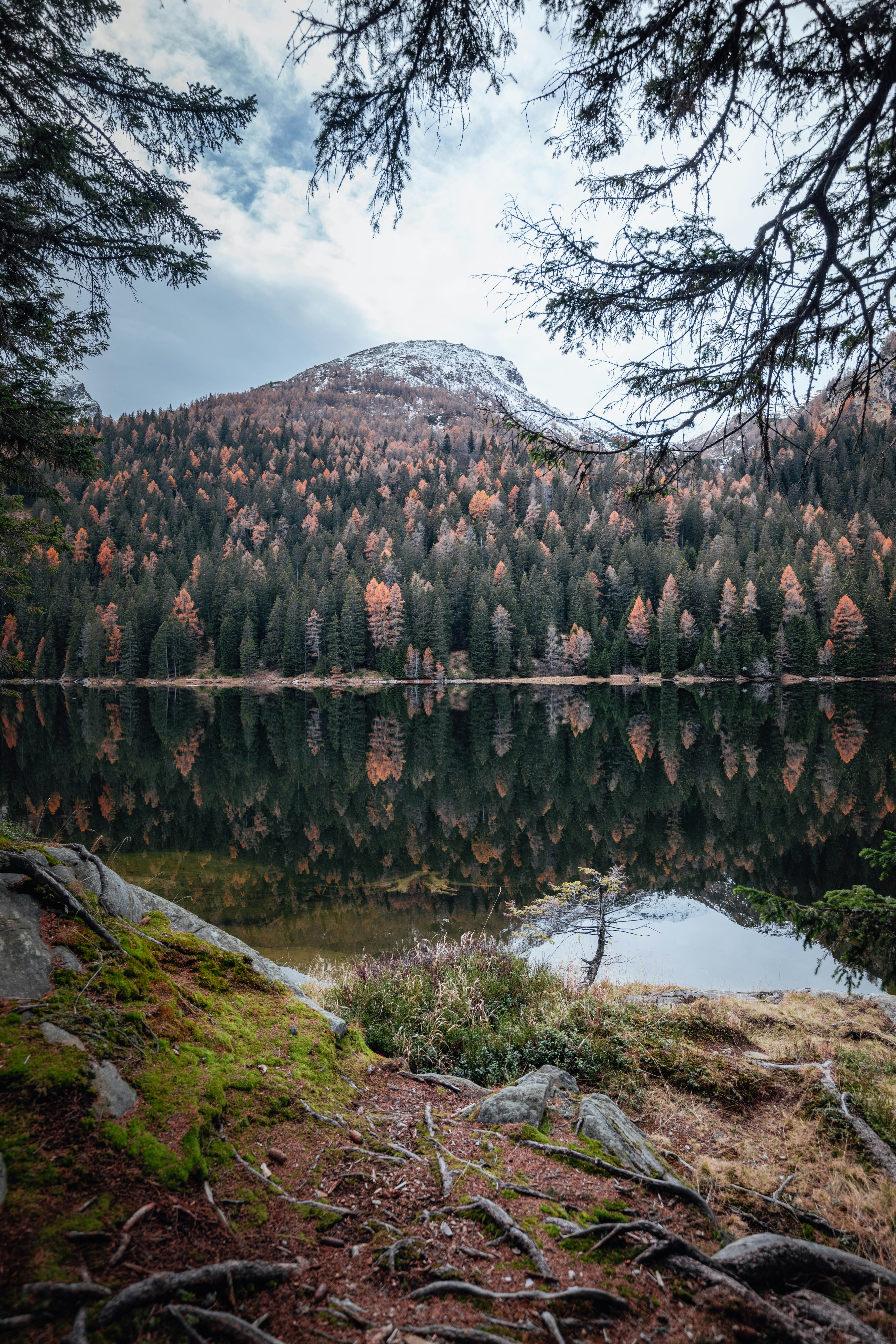 Photo by ryankphoto