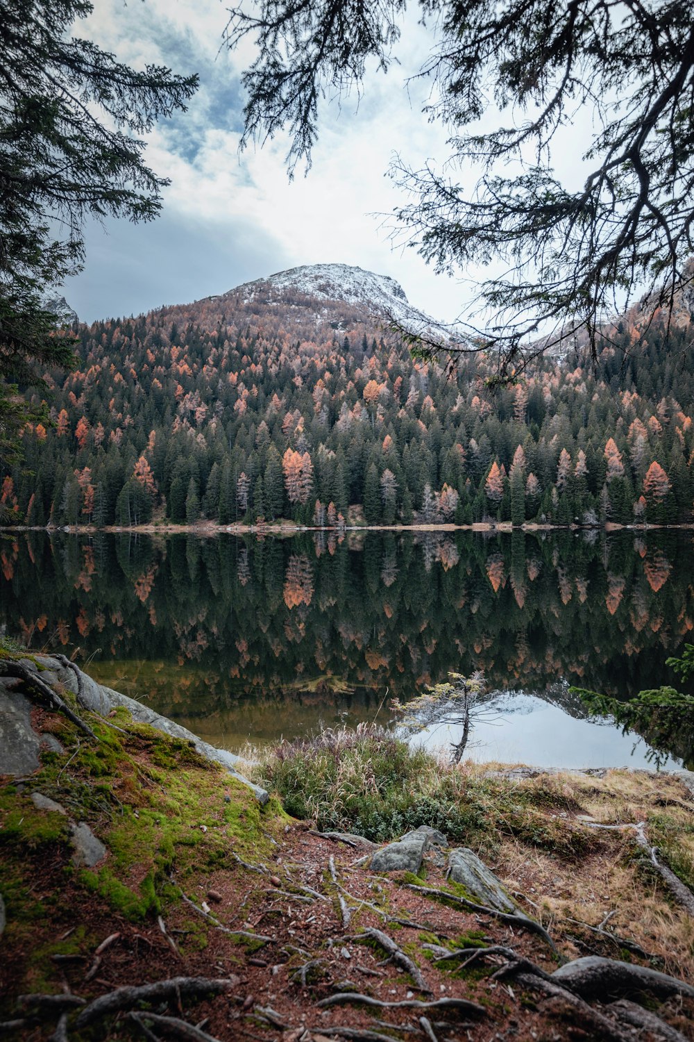 Lago rodeado de árboles y montaña