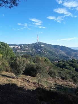 A lush green landscape with rolling hills covered in dense vegetation and a broadcasting tower perched on the highest point. The foreground includes scattered trees and an open field, all under a clear blue sky with few clouds.