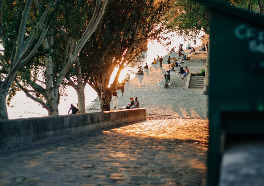 people sitting on concrete bench near body of water during sunset