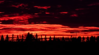 A dramatic scene from a short film, showcasing vivid colors and emotions.