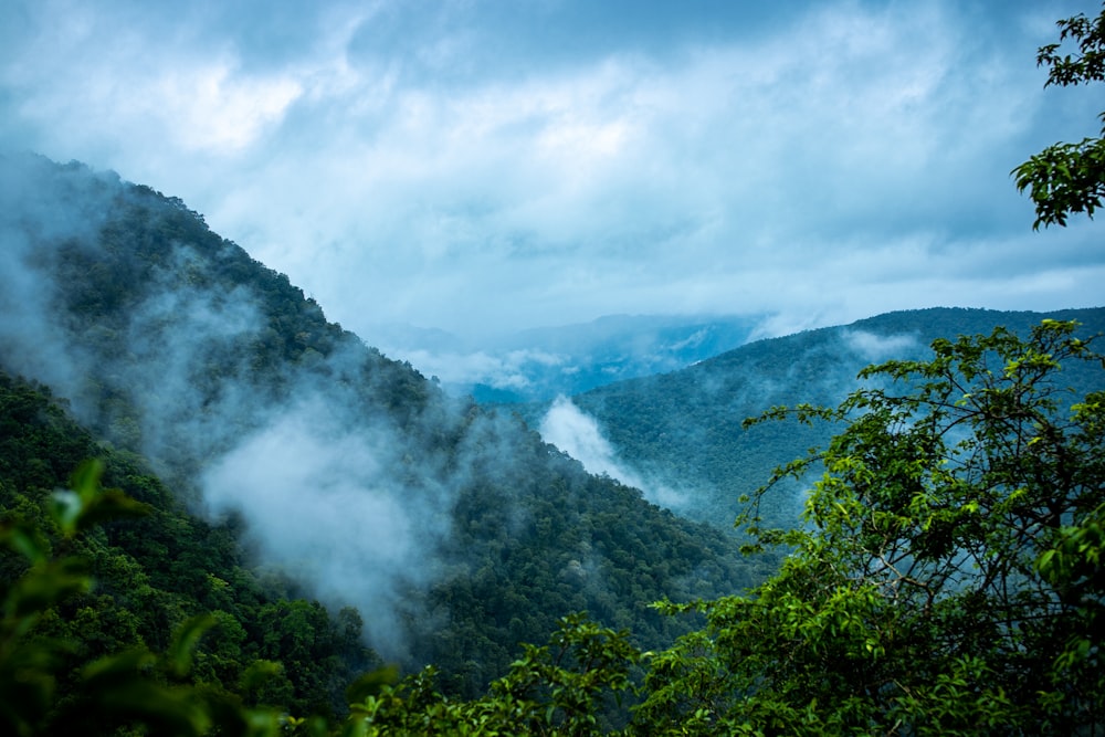 green trees on mountain under white clouds during daytime