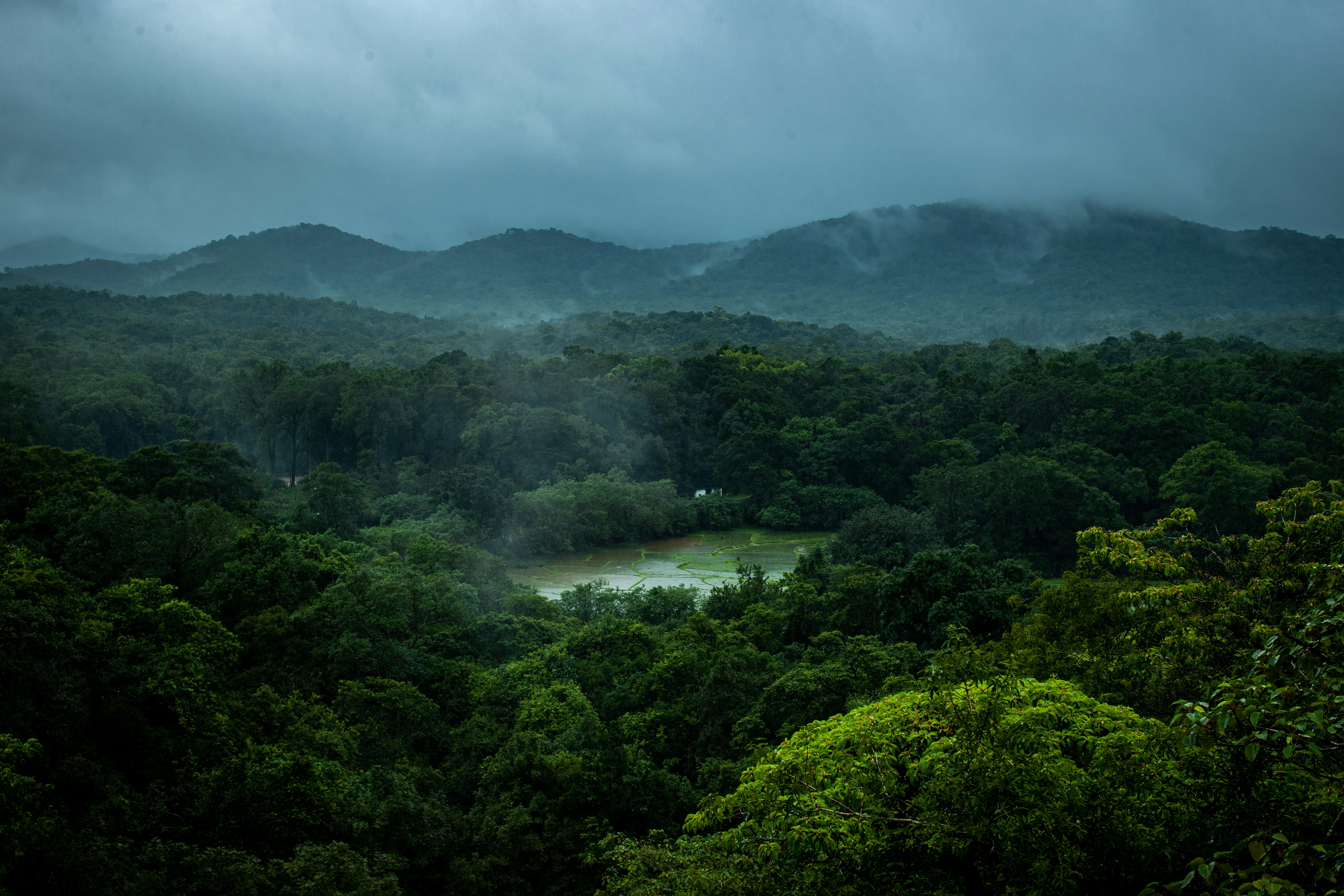 árboles verdes cerca del cuerpo de agua bajo el cielo nublado durante el día