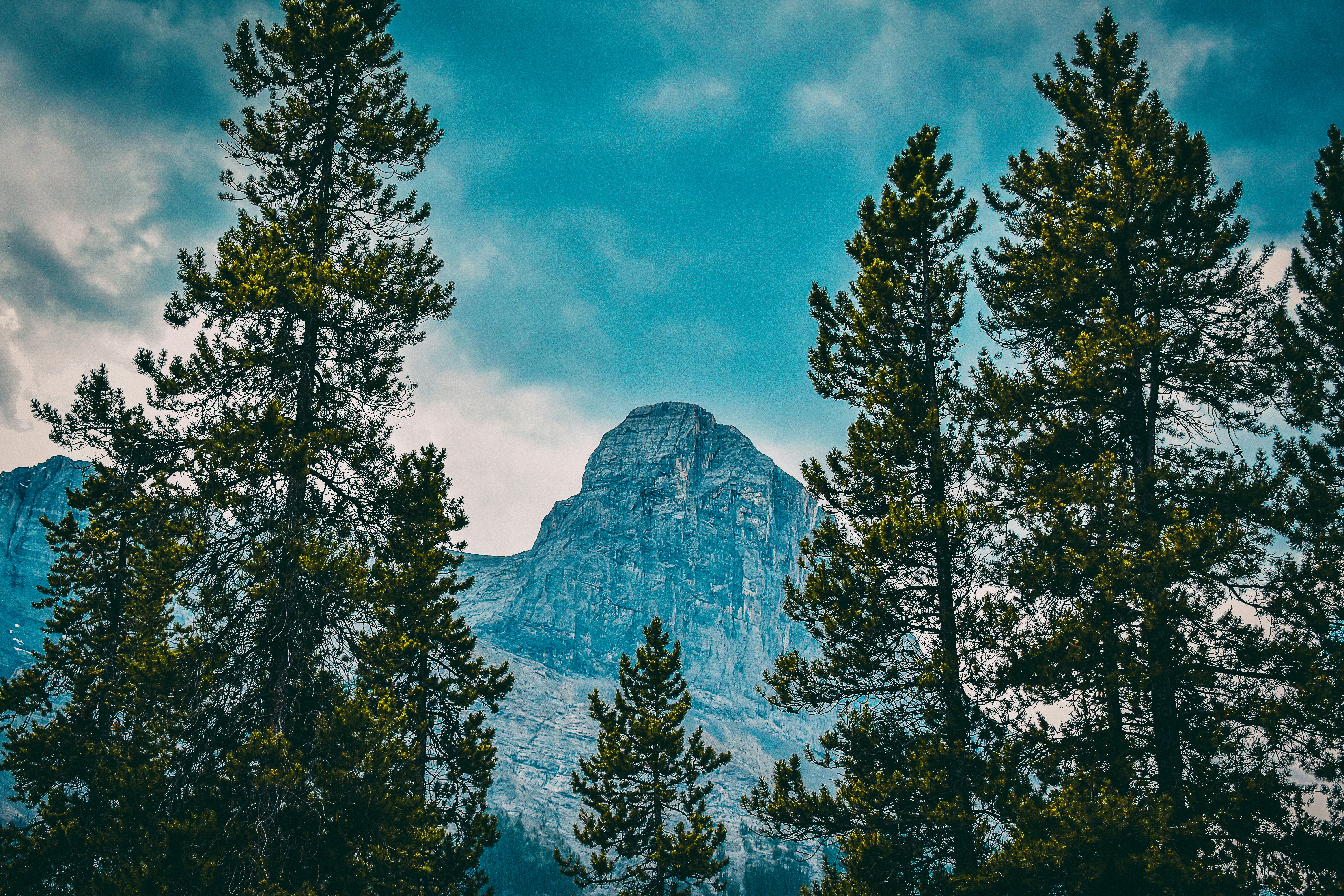 Photo by bdbillustrations