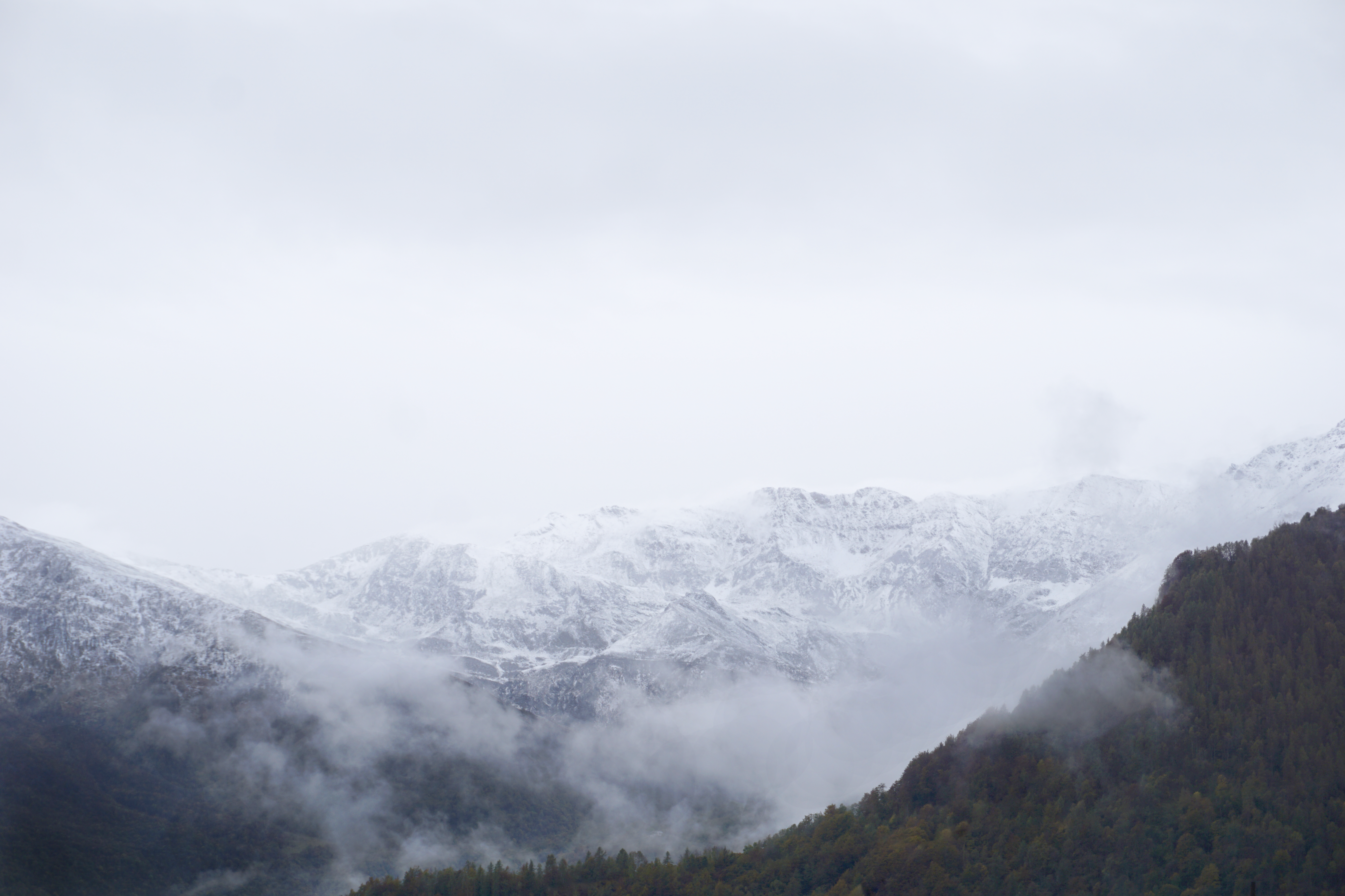 green trees on mountain covered with snow, Monviso, Cn, Italy