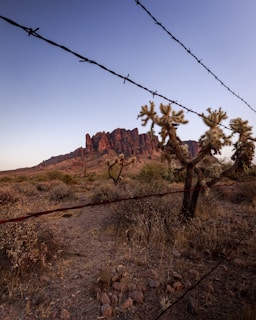 A rugged desert landscape with a prominent rocky mountain formation in the background. Barbed wire runs diagonally across the foreground, and various cacti and dry vegetation are scattered throughout the area.
