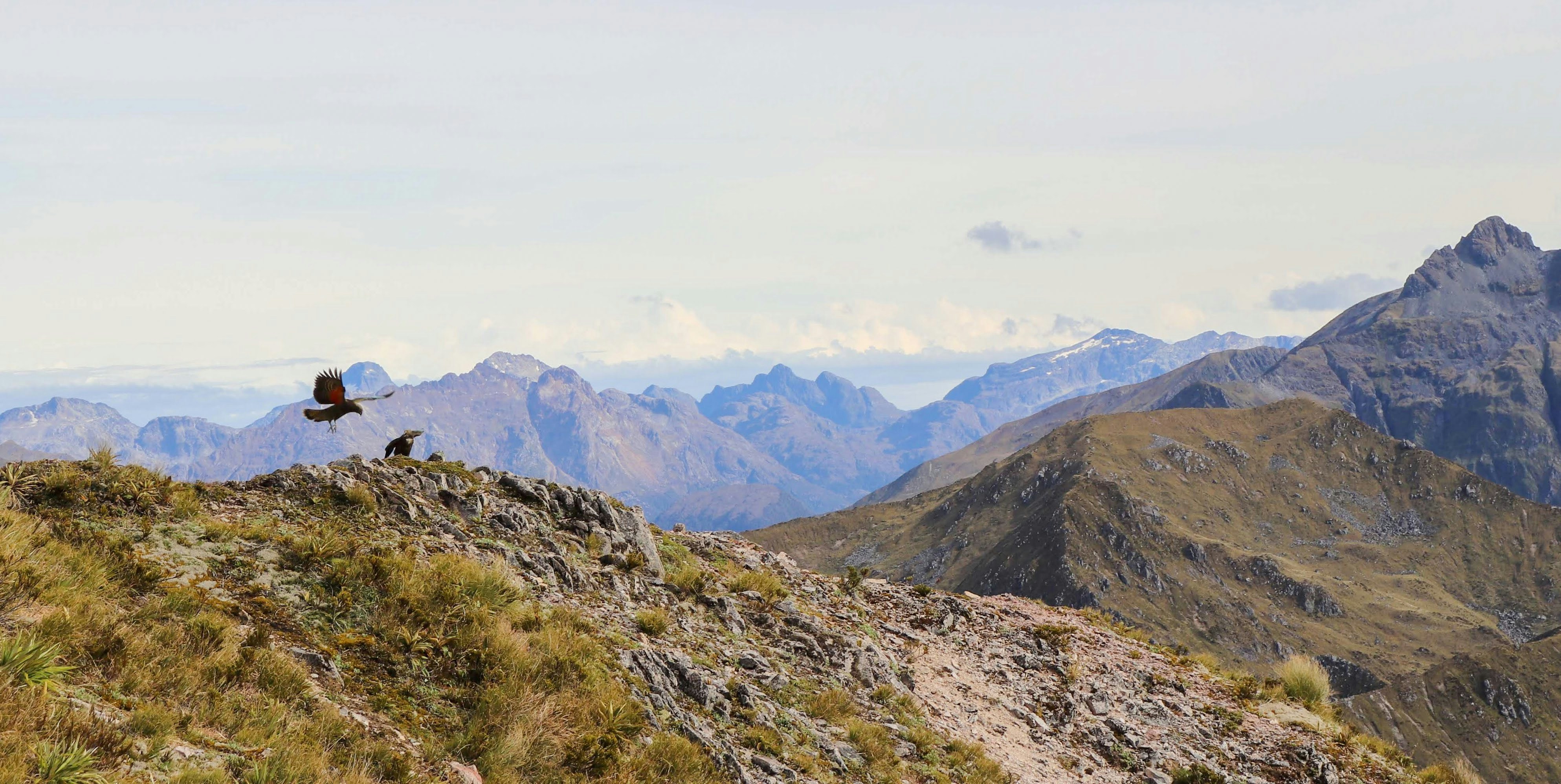 Photo by mikemorris3