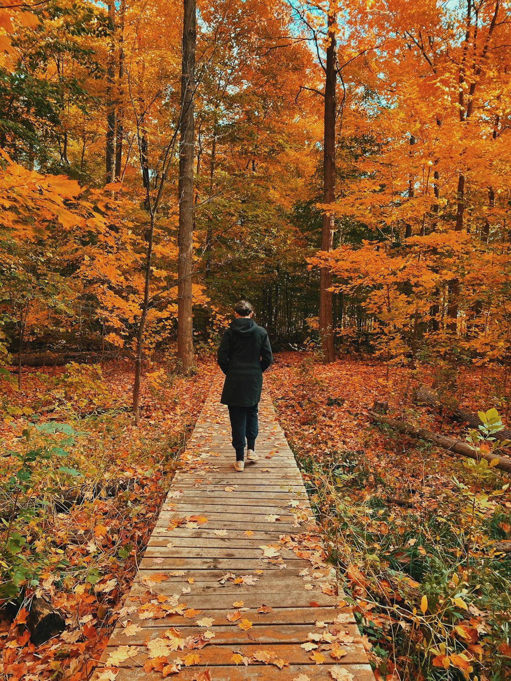 man in black jacket walking on wooden pathway surrounded by trees during daytime