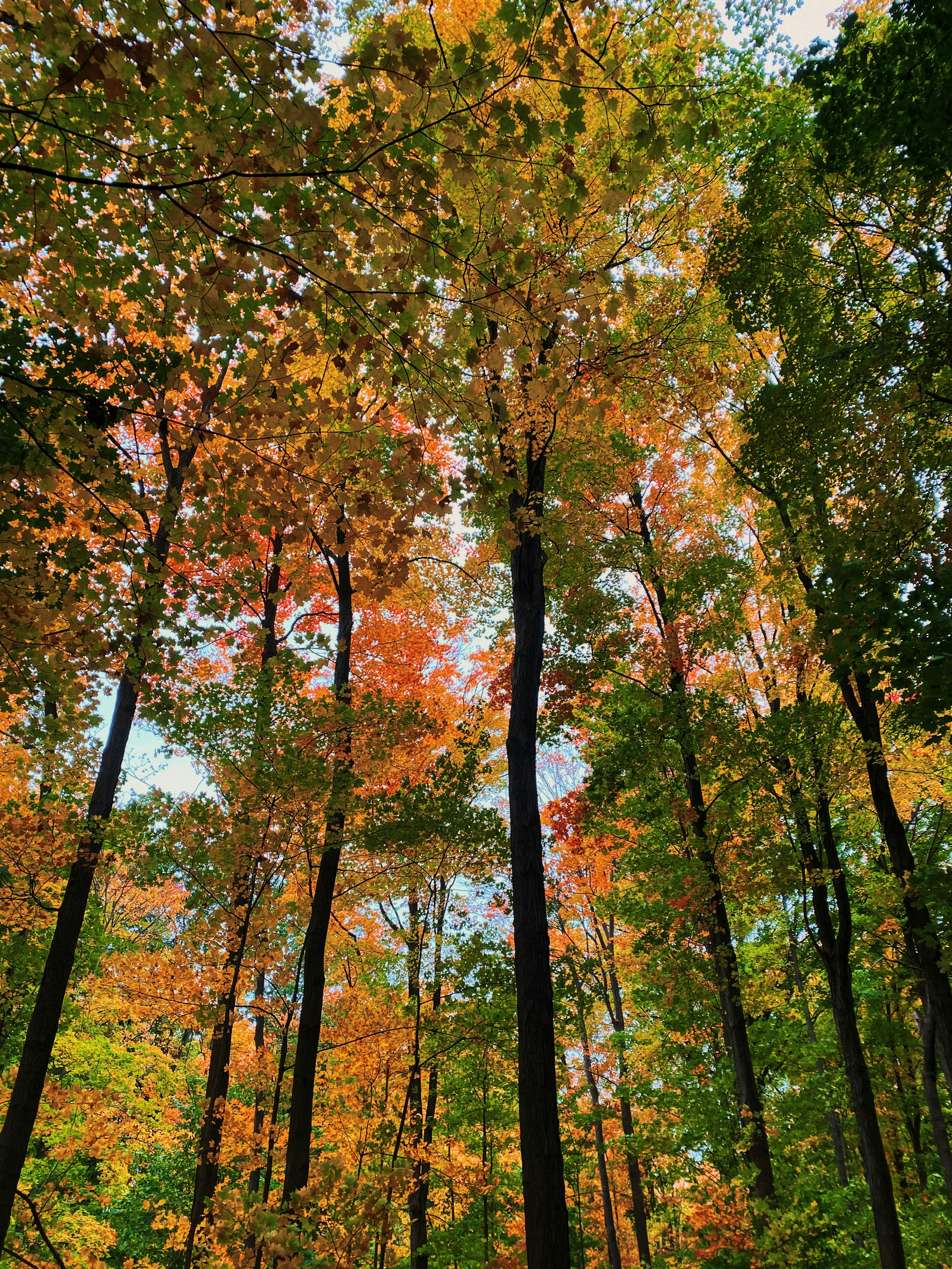 Photo by laura_moraes