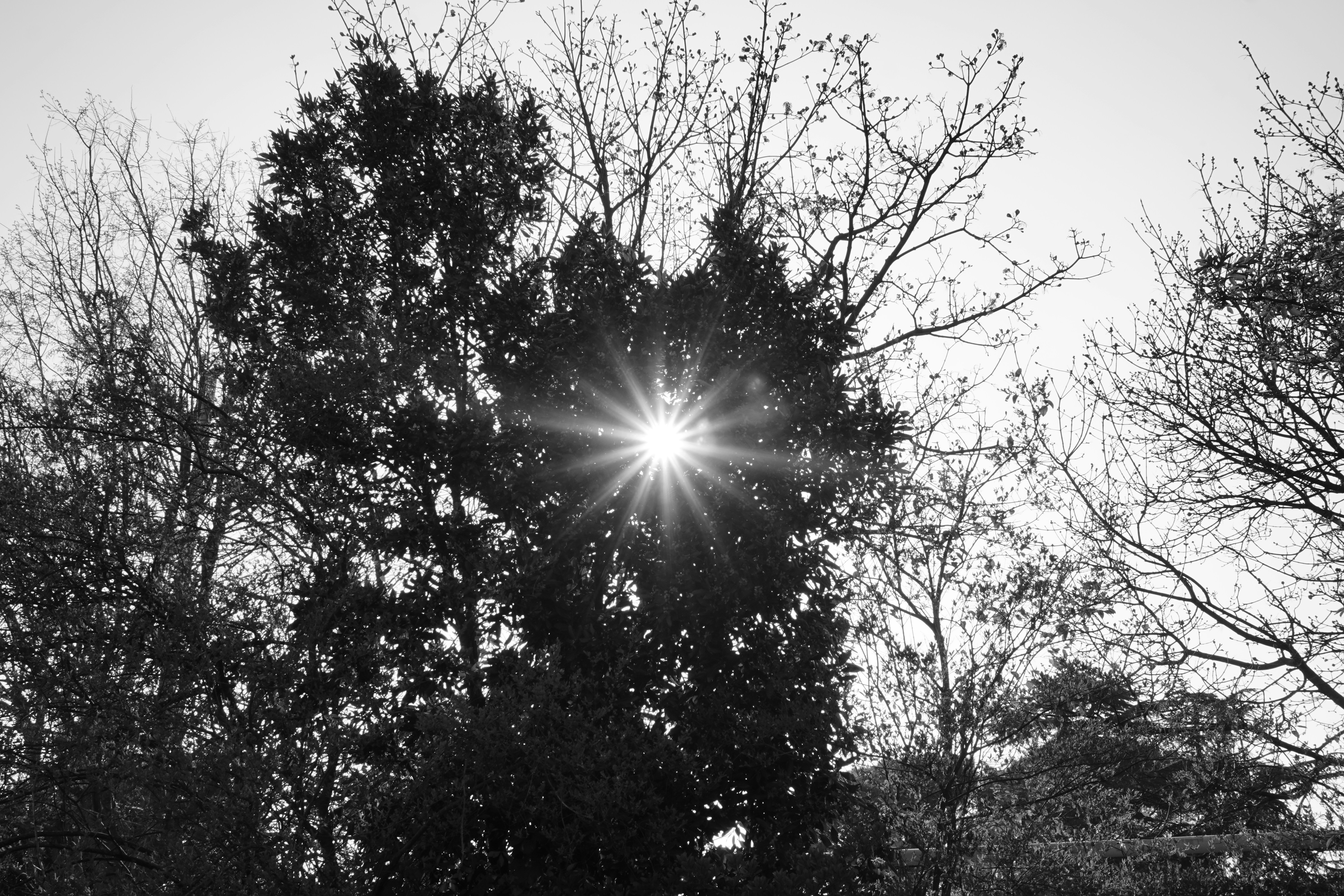 Photo by rickylore24