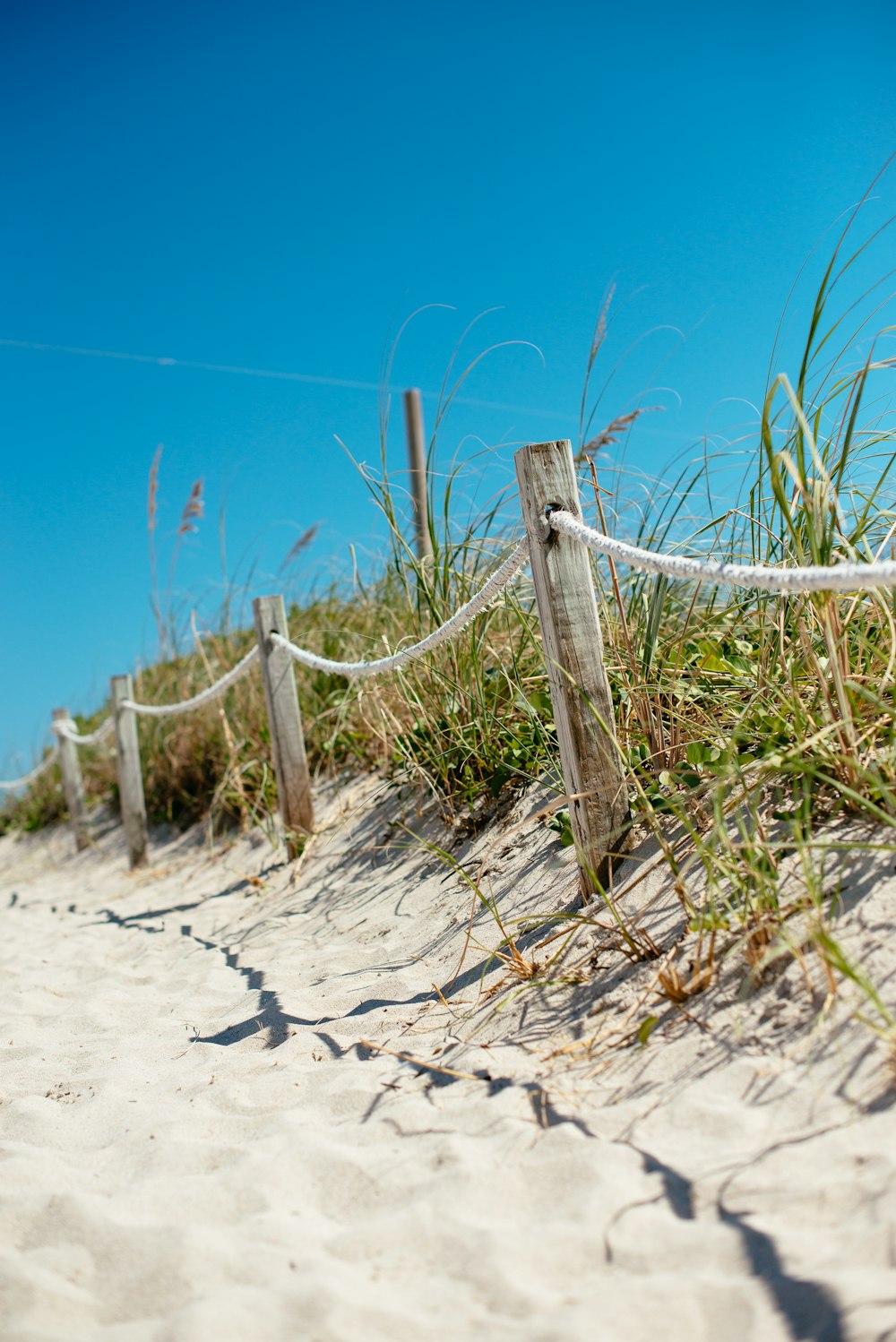 white wooden fence on brown sand during daytime