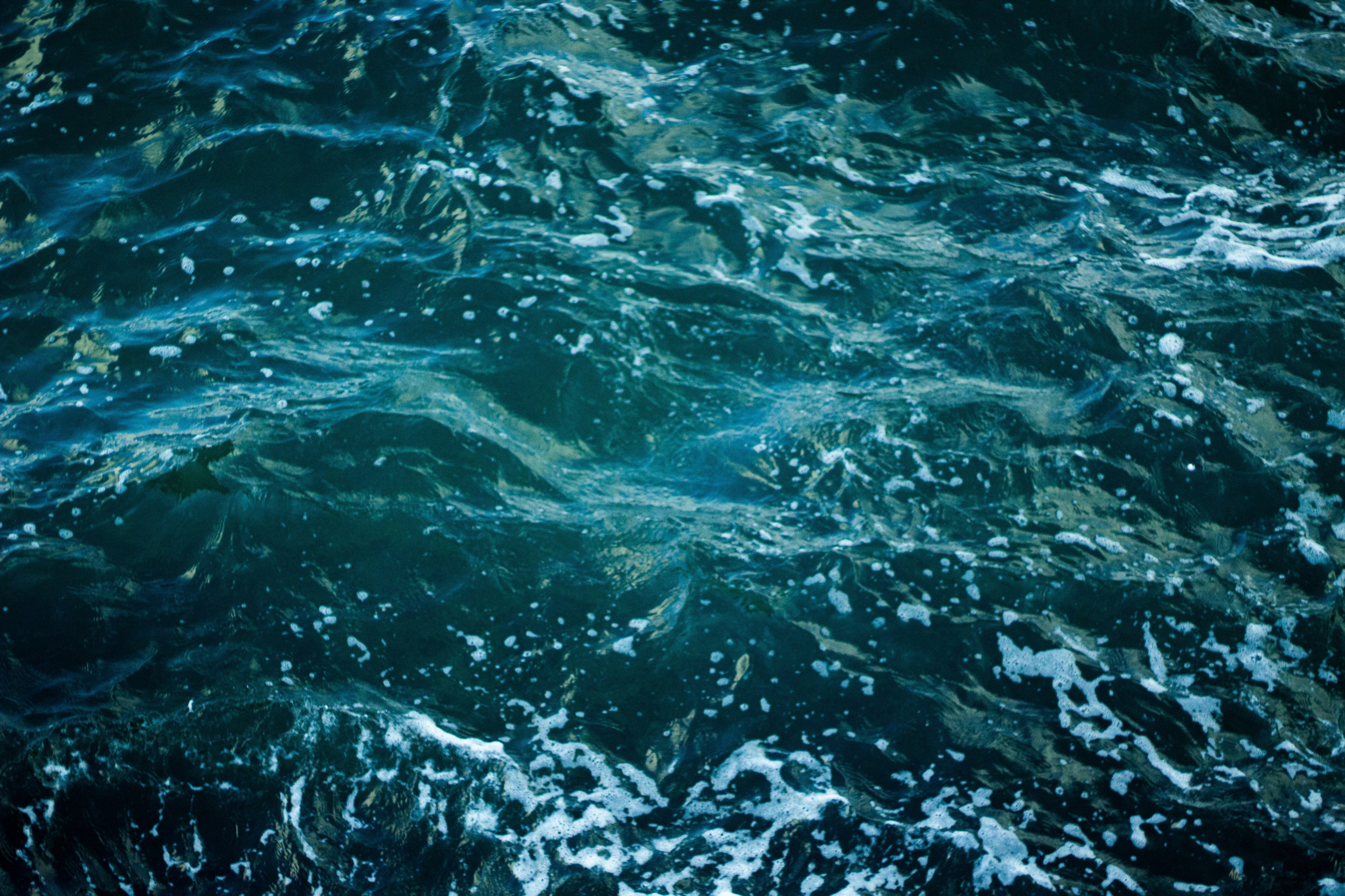 Photo by osamaabosaadia