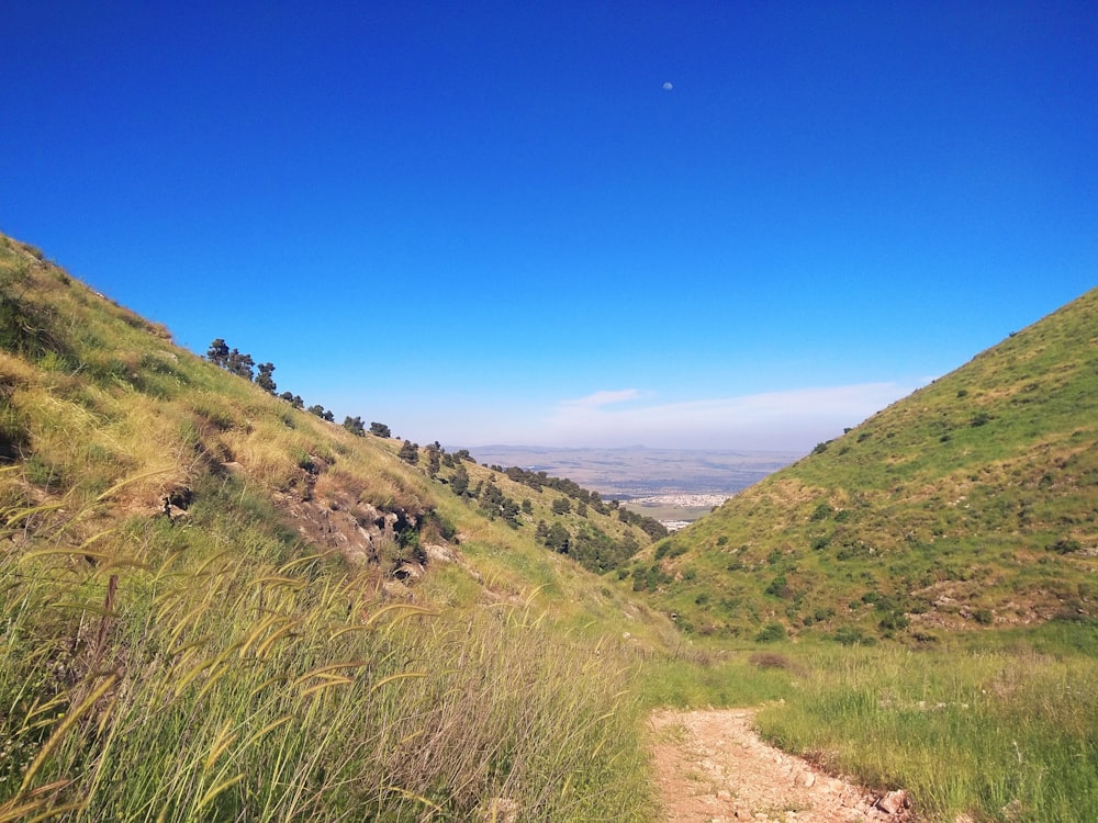 green grass field and mountains under blue sky during daytime