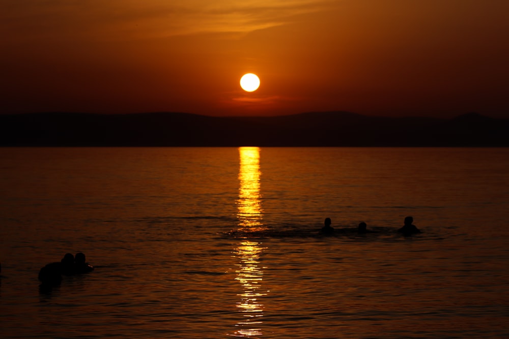 silhouette of people on sea during sunset