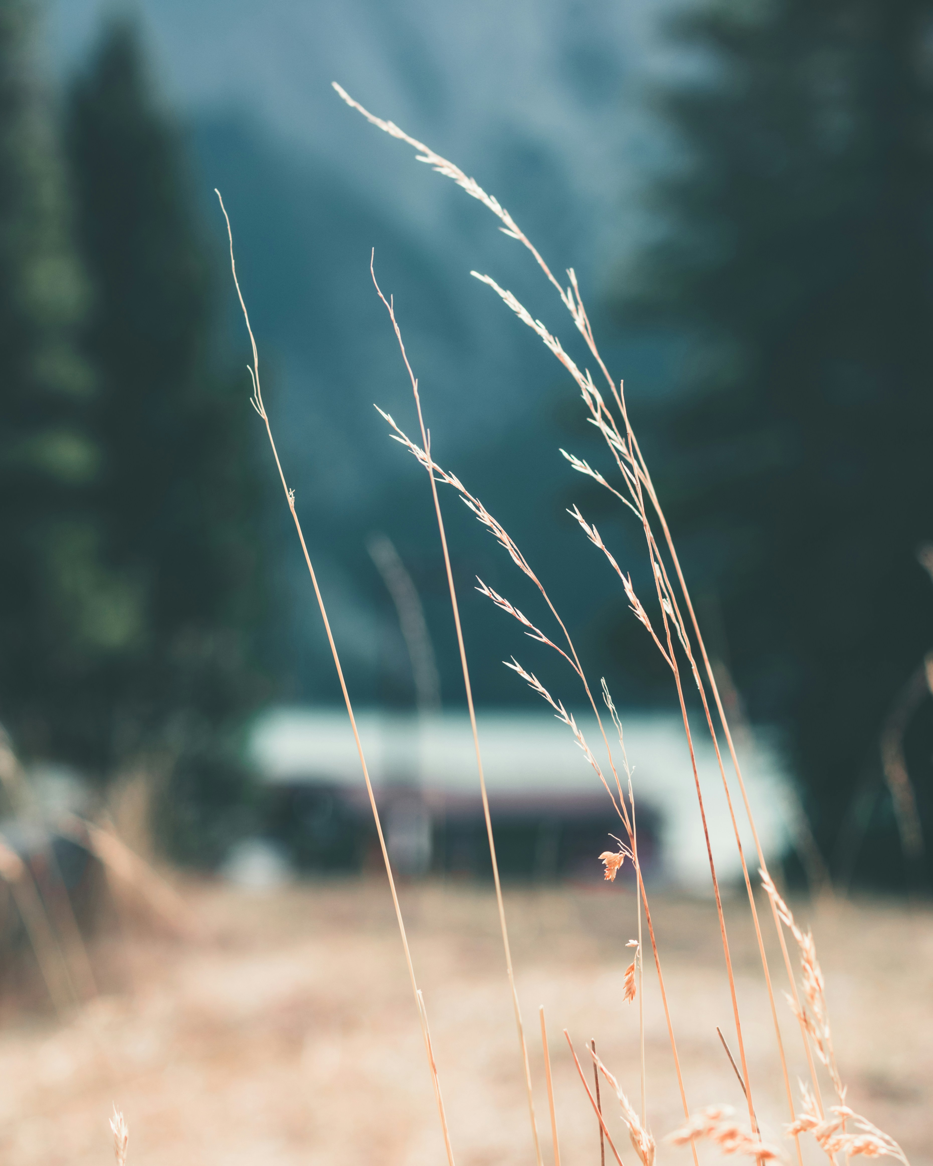 Photo by lureofadventure