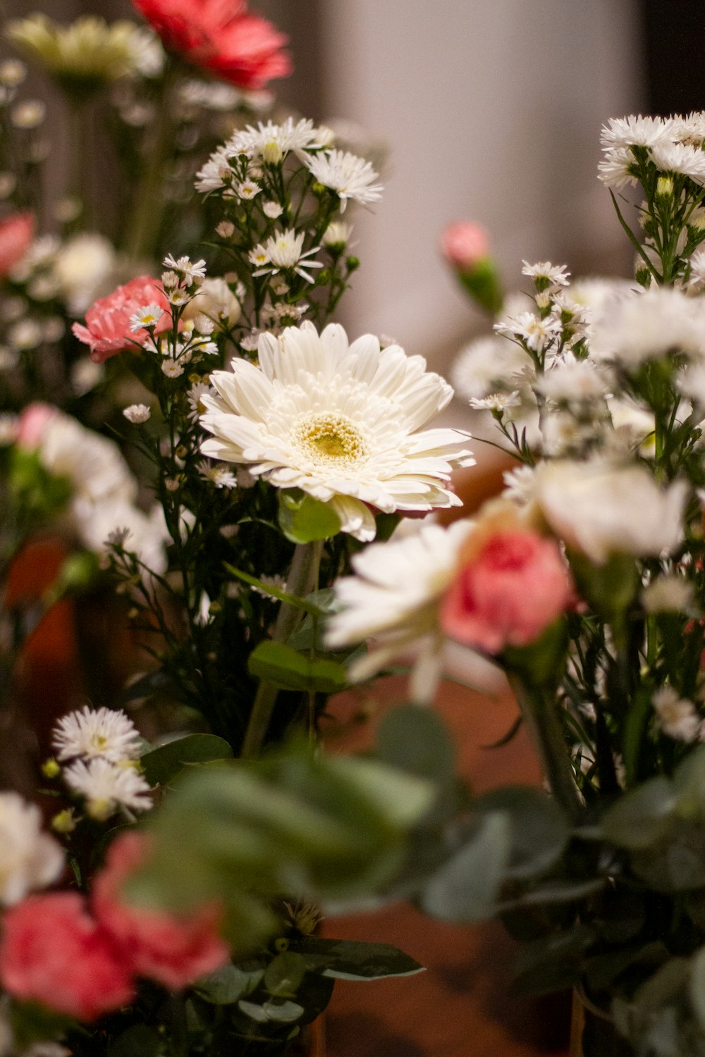 white and pink flowers in tilt shift lens