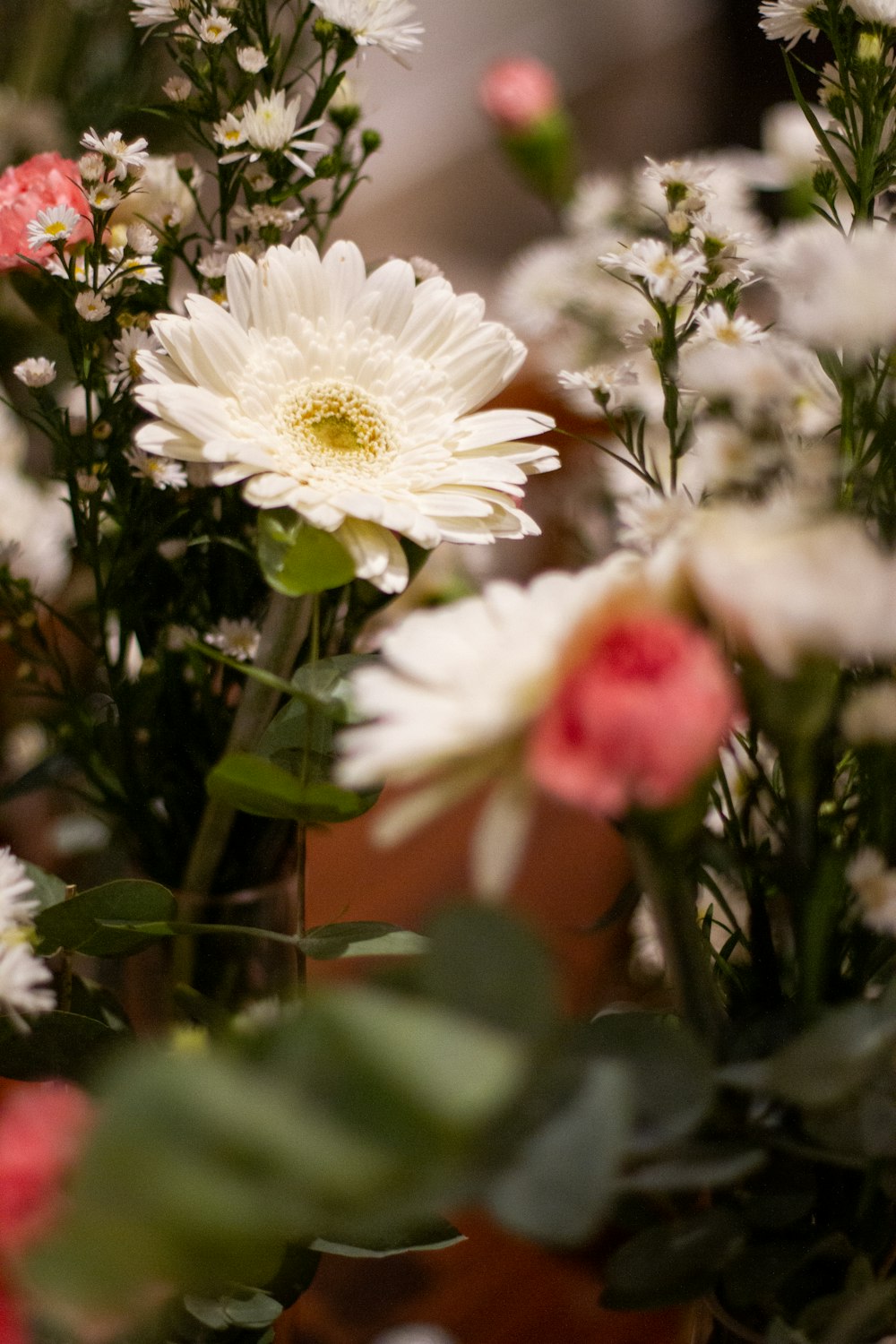 white and red flower in close up photography