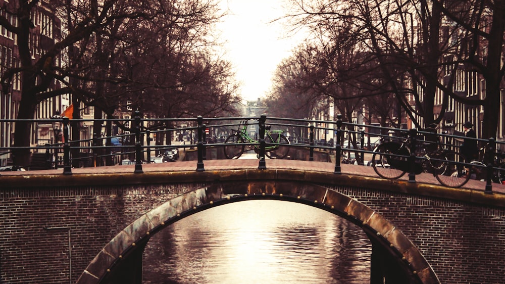 brown concrete bridge over river during daytime