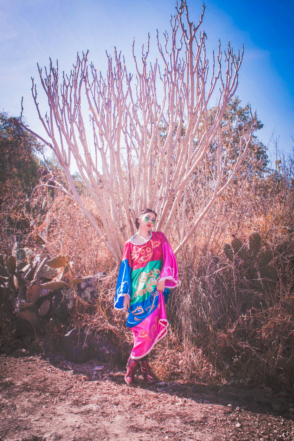 woman in blue and pink dress standing on brown dried leaves during daytime